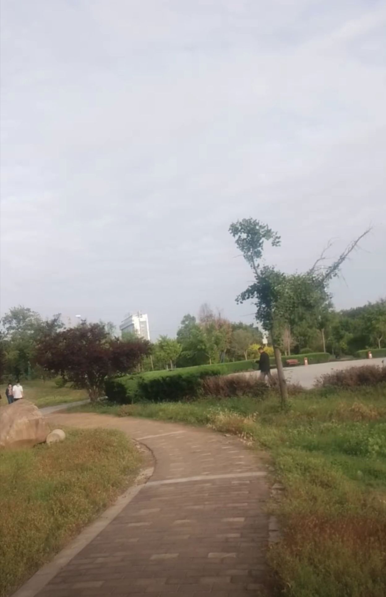 尉氏东京森林公园旅行图片 2