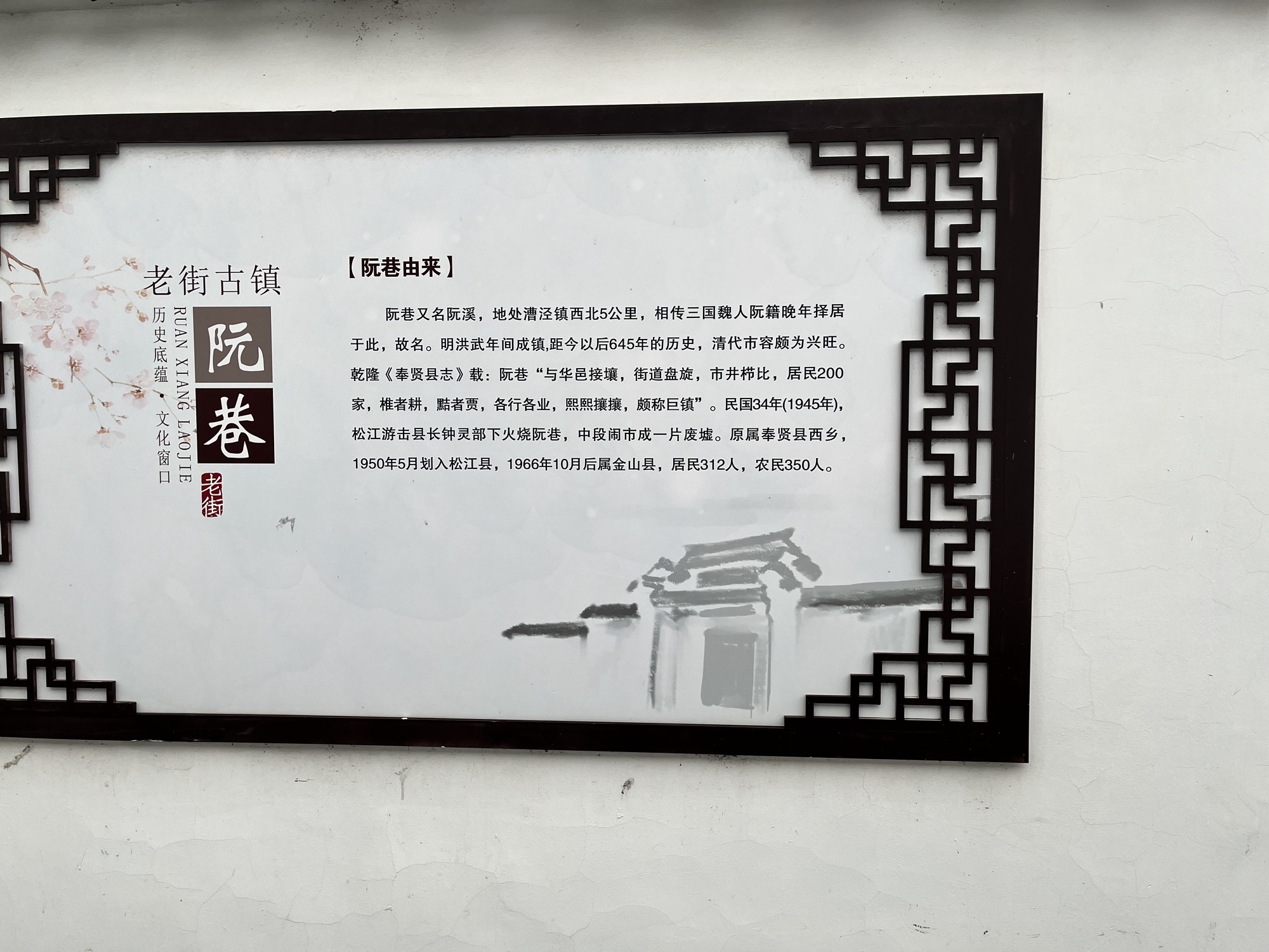 阮巷老街古镇景区旅行图片 2