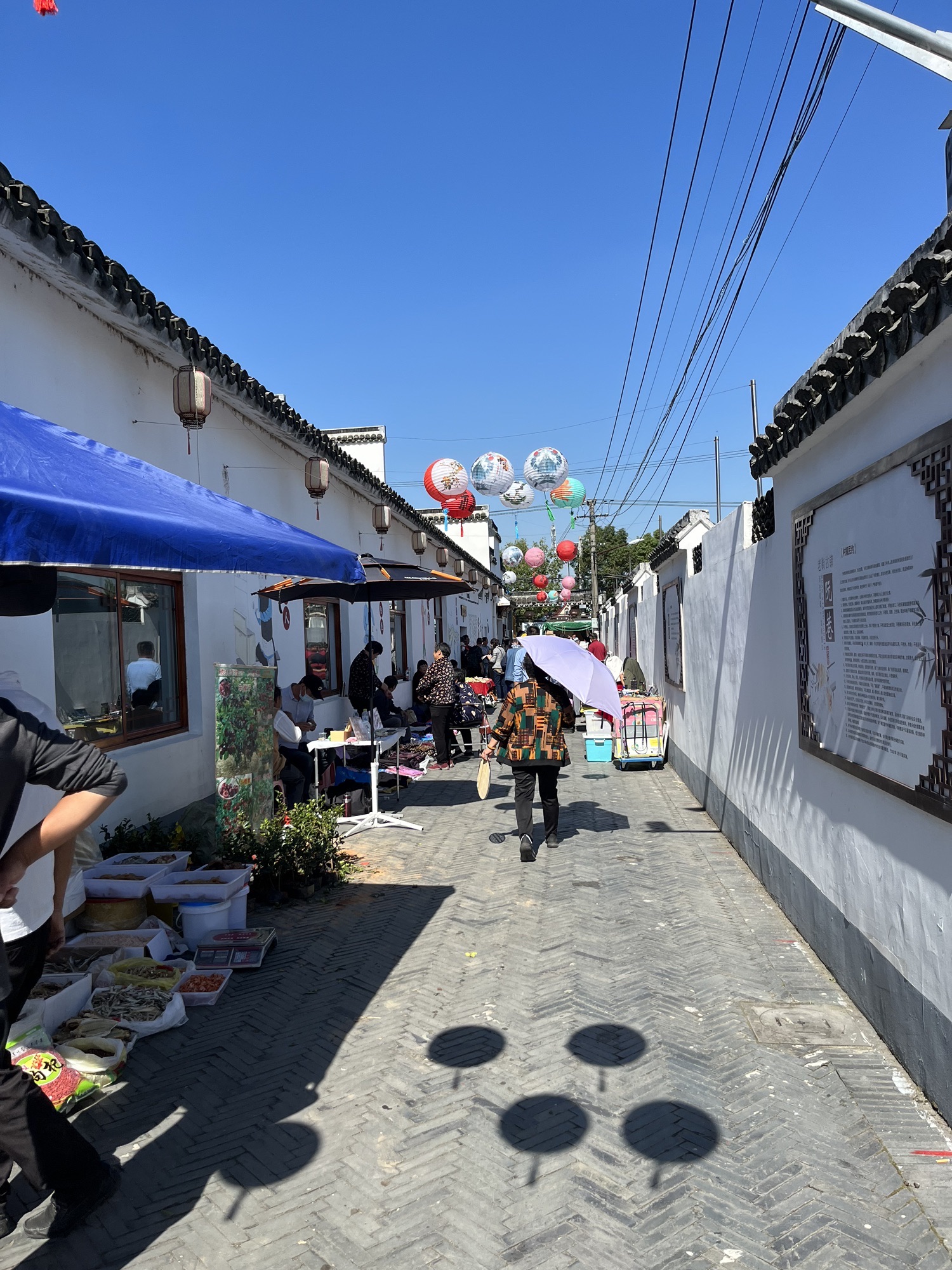 阮巷老街古镇景区旅行图片 1
