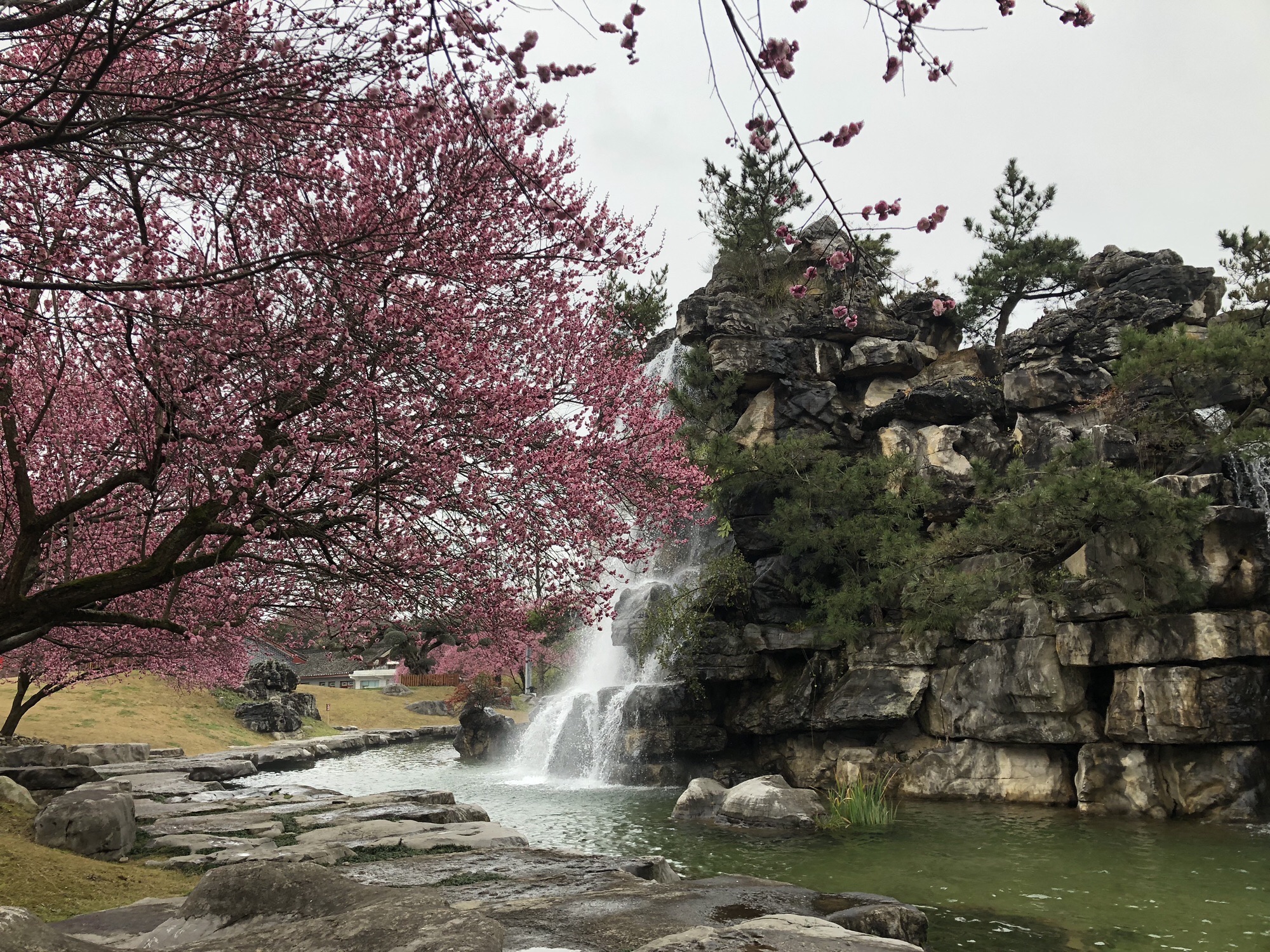 乾艺梅园旅行图片 3