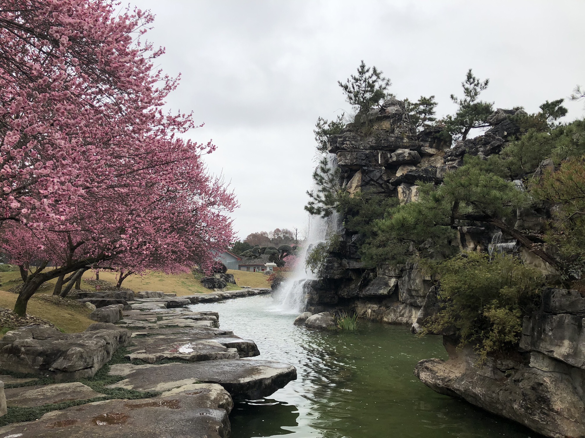 乾艺梅园旅行图片 2