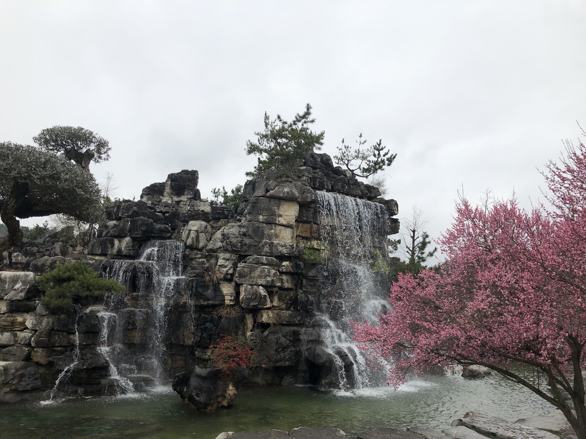 乾艺梅园旅行图片 1