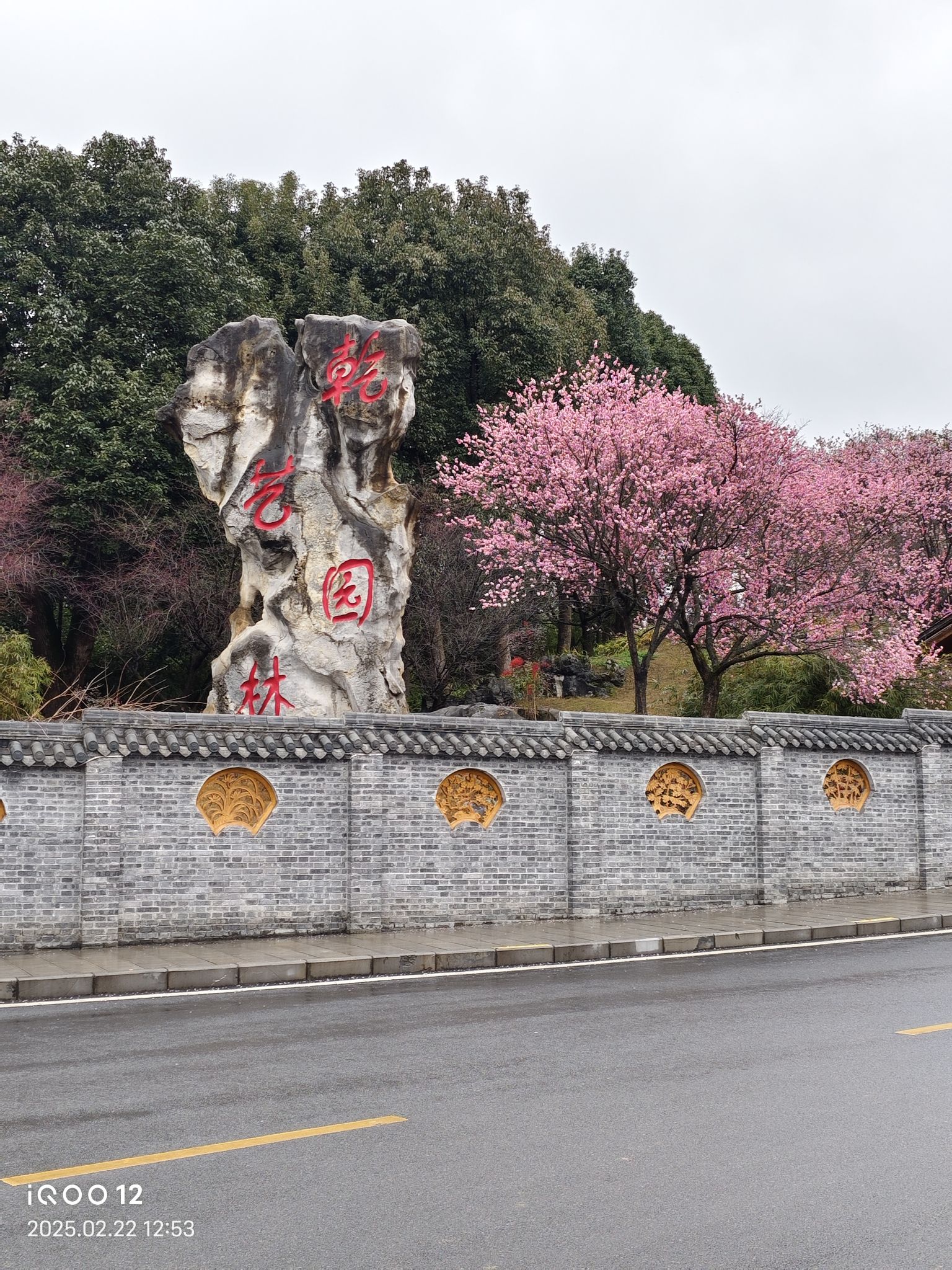 乾艺梅园旅行图片 1