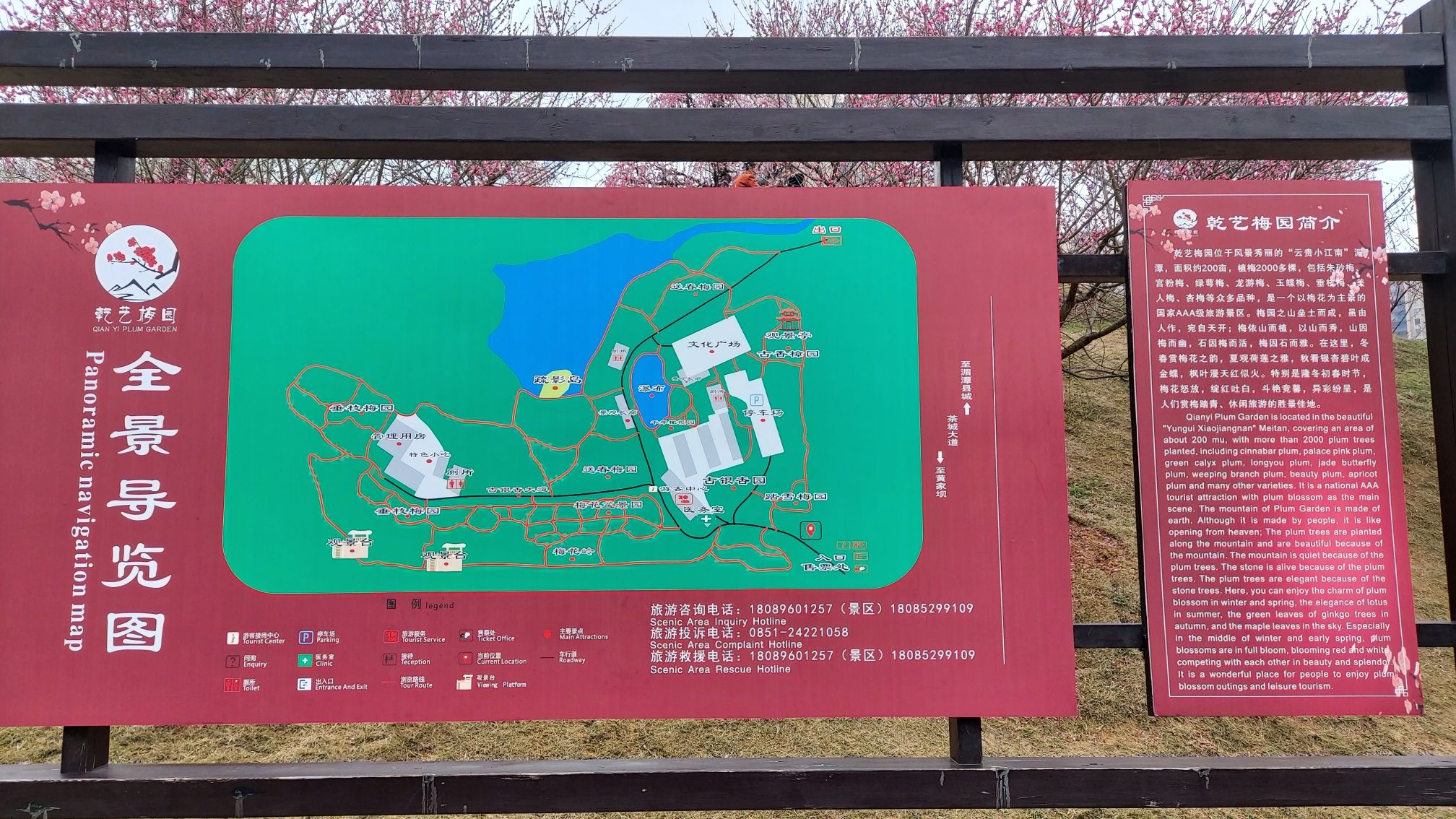 乾艺梅园旅行图片 1