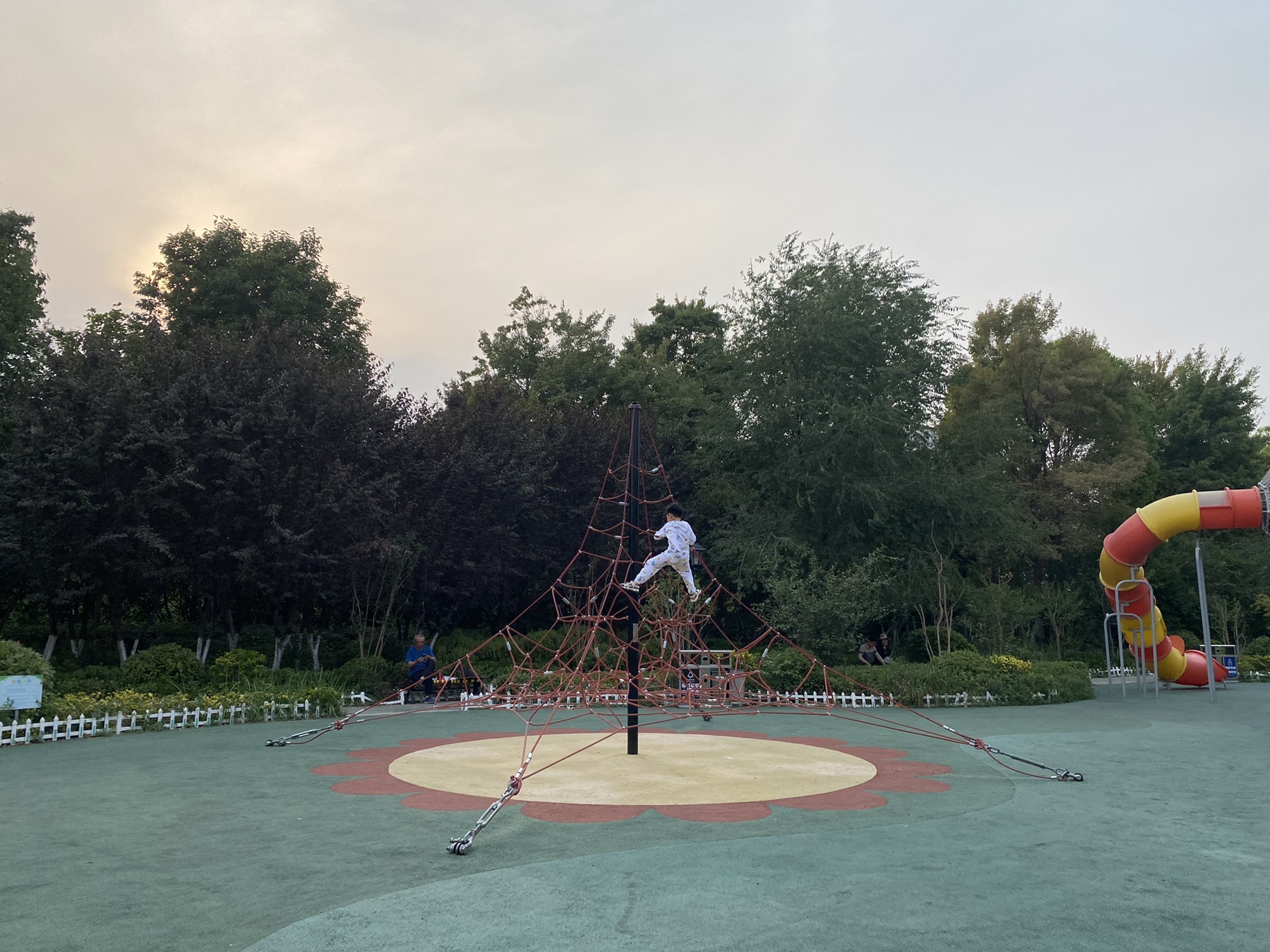 金龙湖体育公园旅行图片 3
