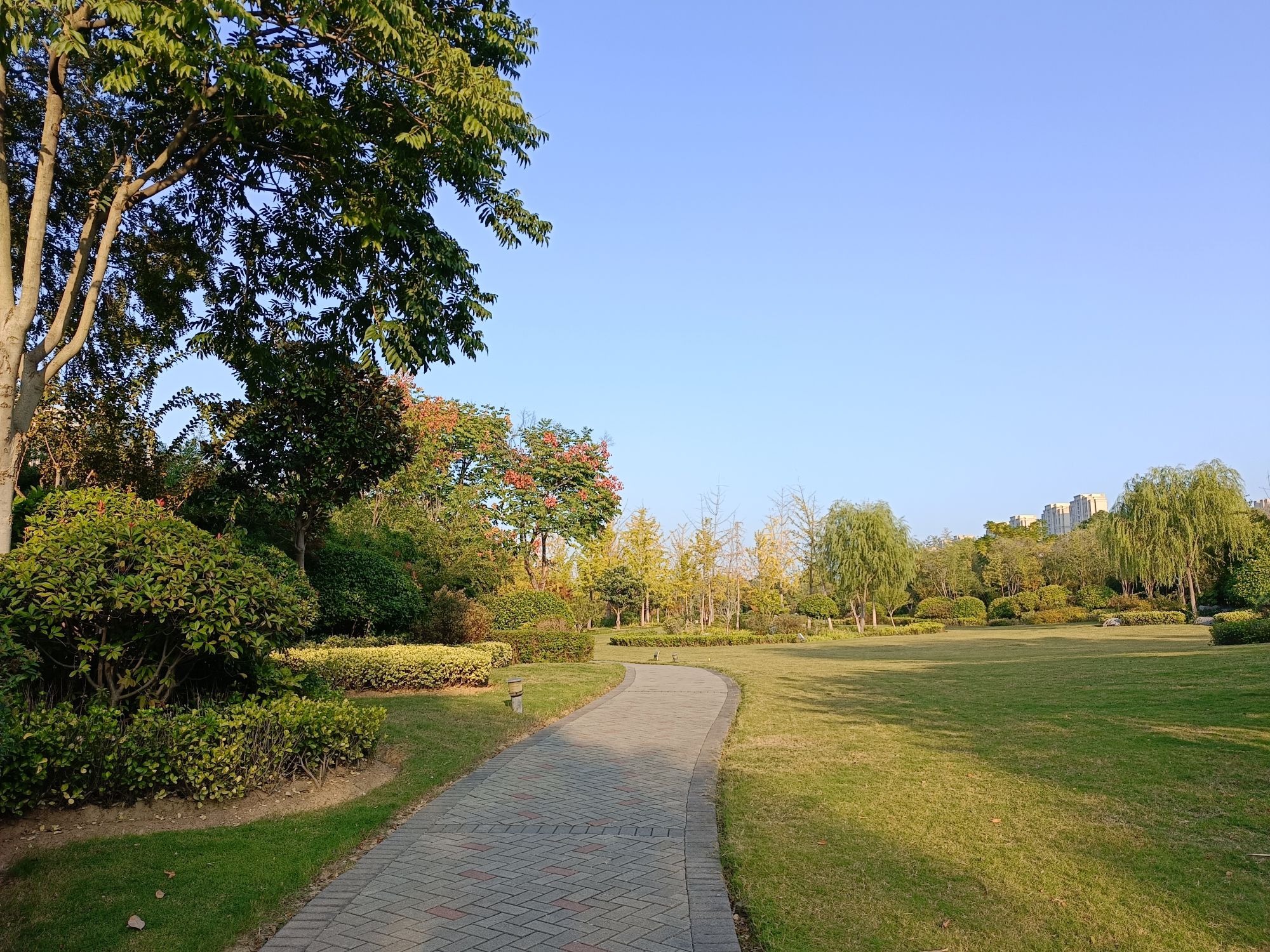金龙湖体育公园旅行图片 1