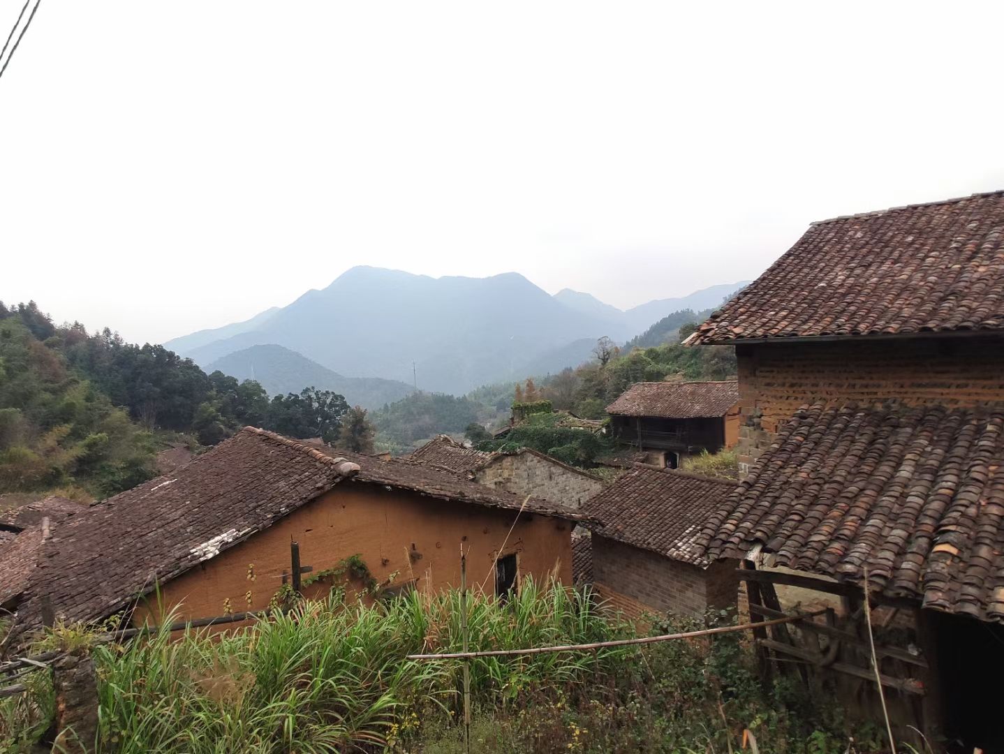 稠溪古村景区旅行图片 1