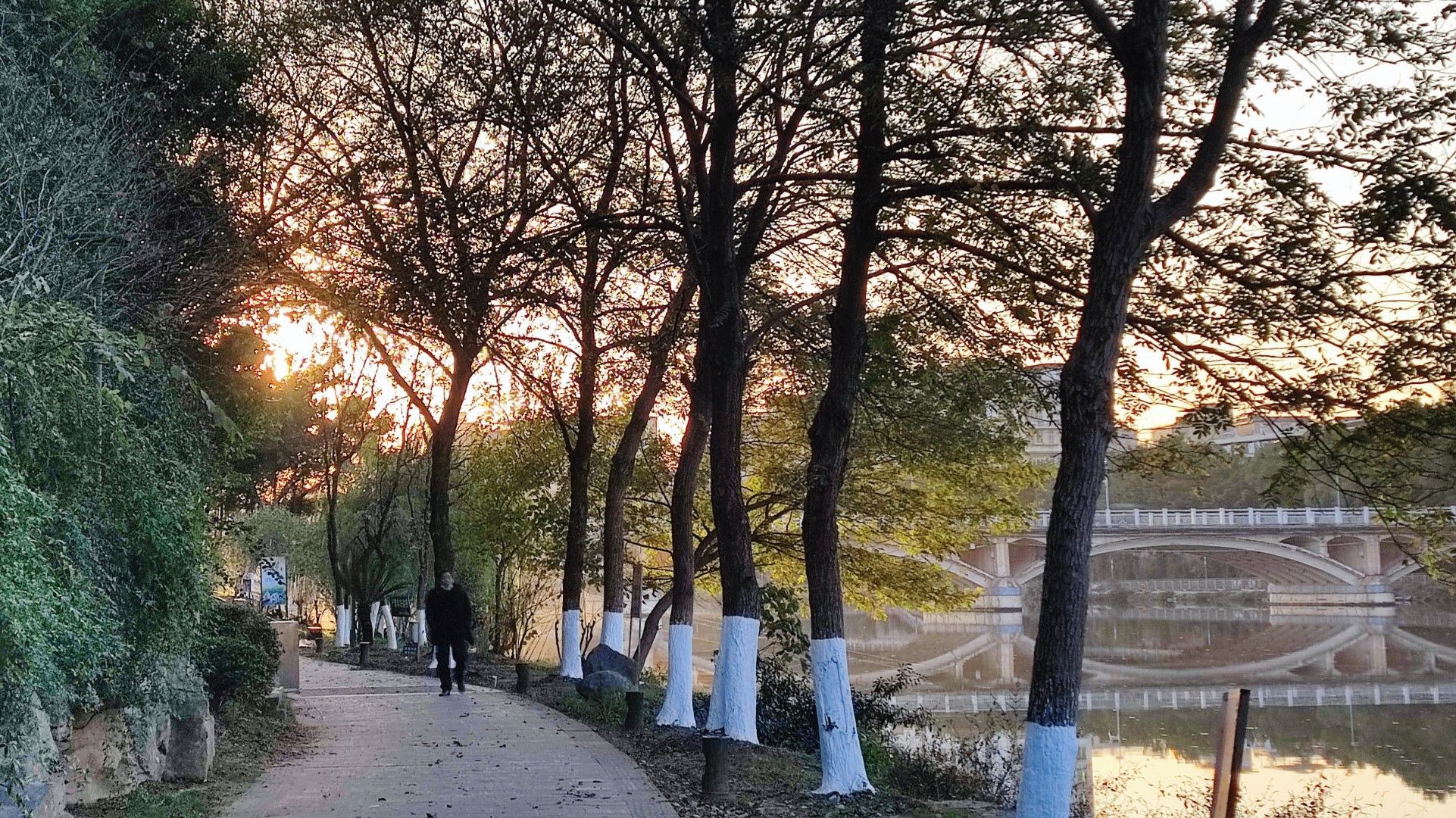 江西南康蓉江河省级湿地公园旅行图片 1