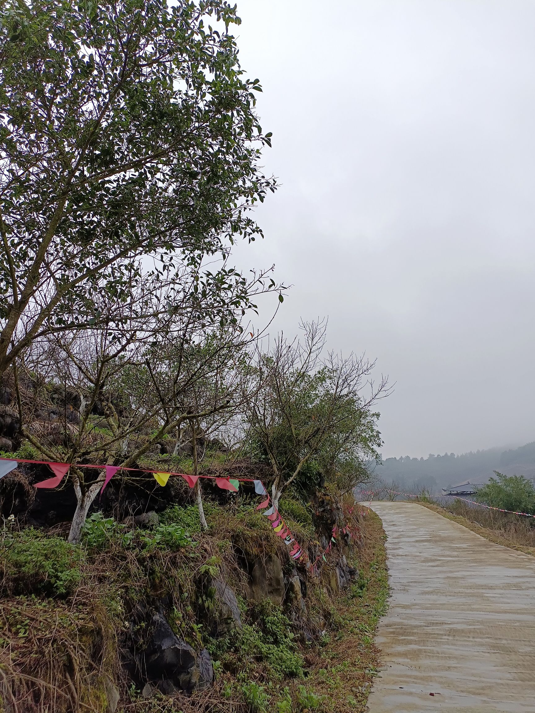 天河彩虹谷旅行图片 1