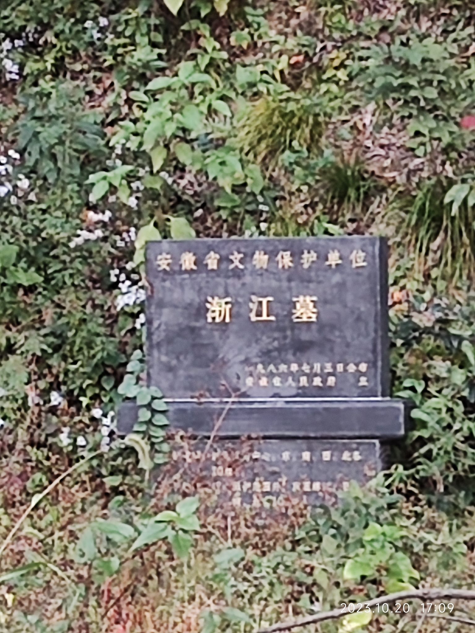 渐江和尚墓旅行图片 1