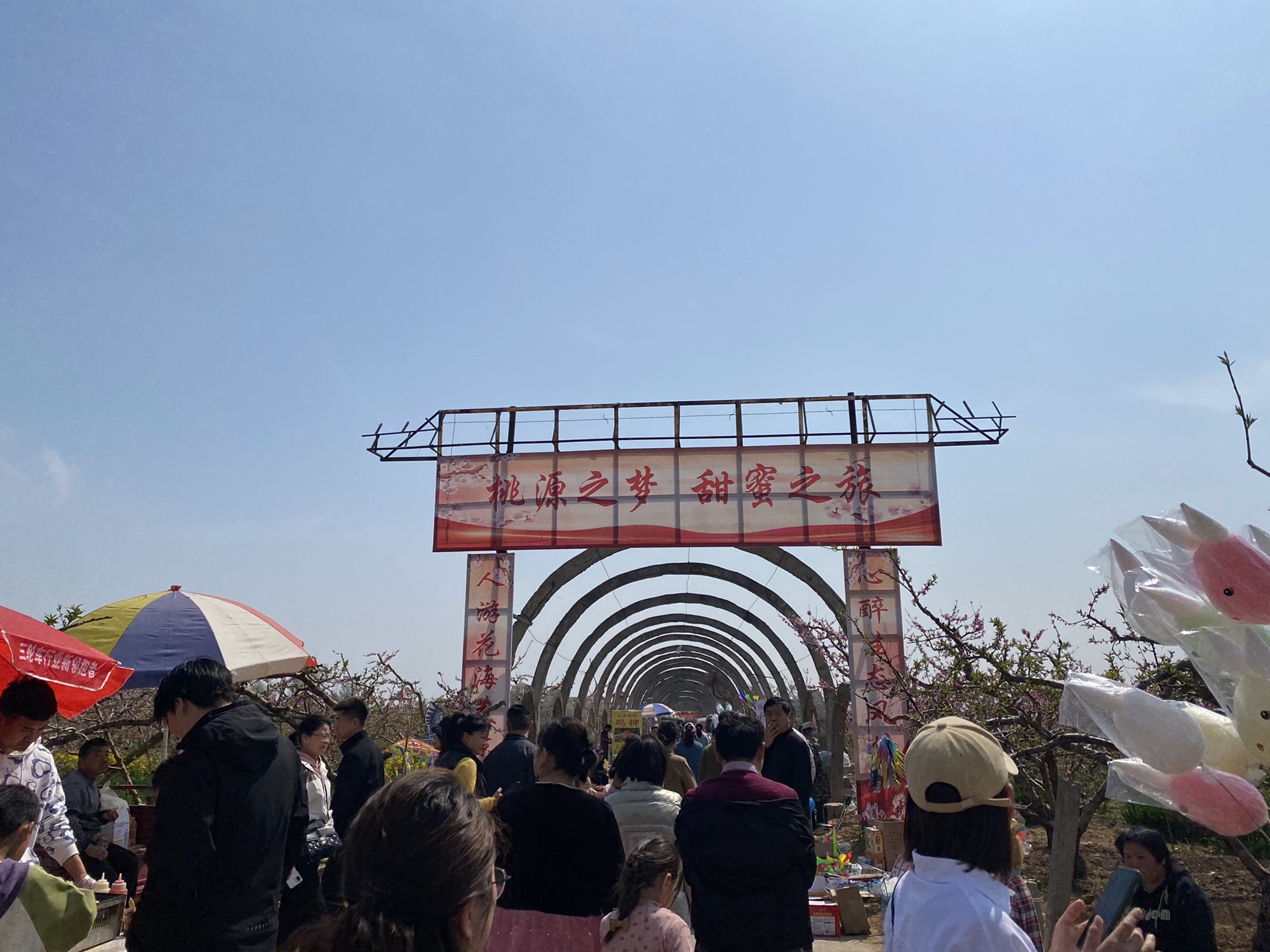 唐庄桃花源旅行图片 2