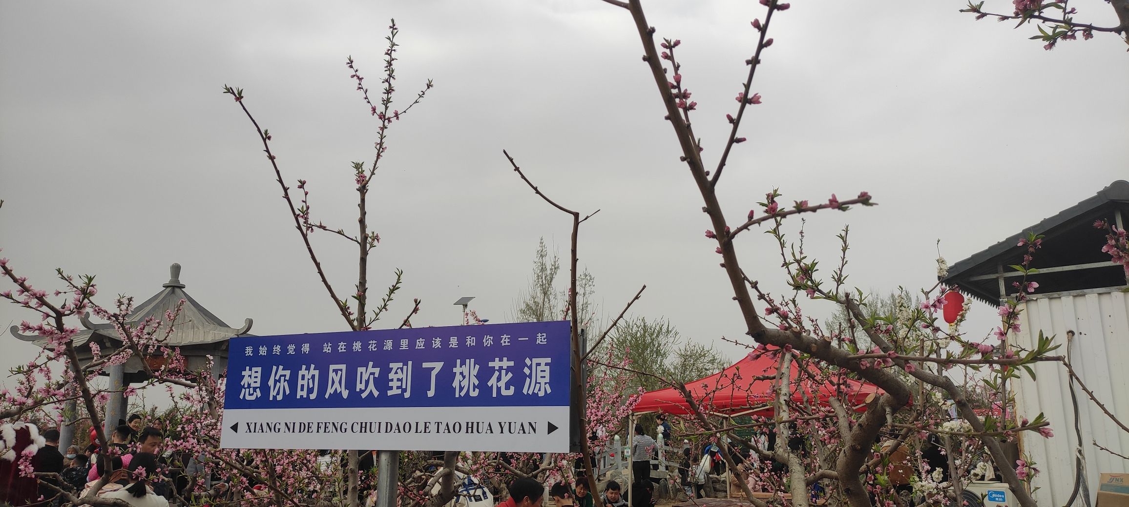 唐庄桃花源旅行图片 2