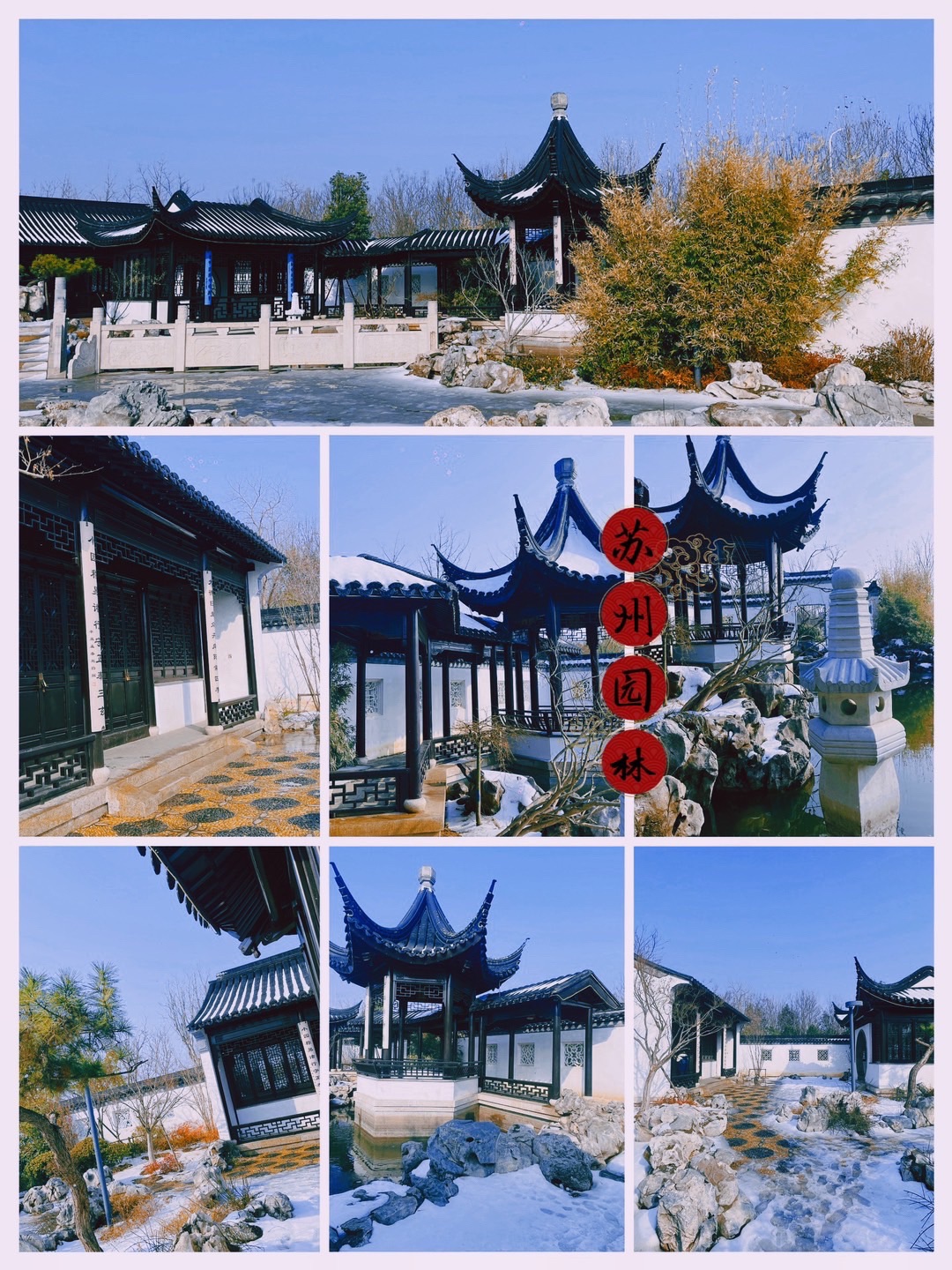正阳县植物园旅行图片 2