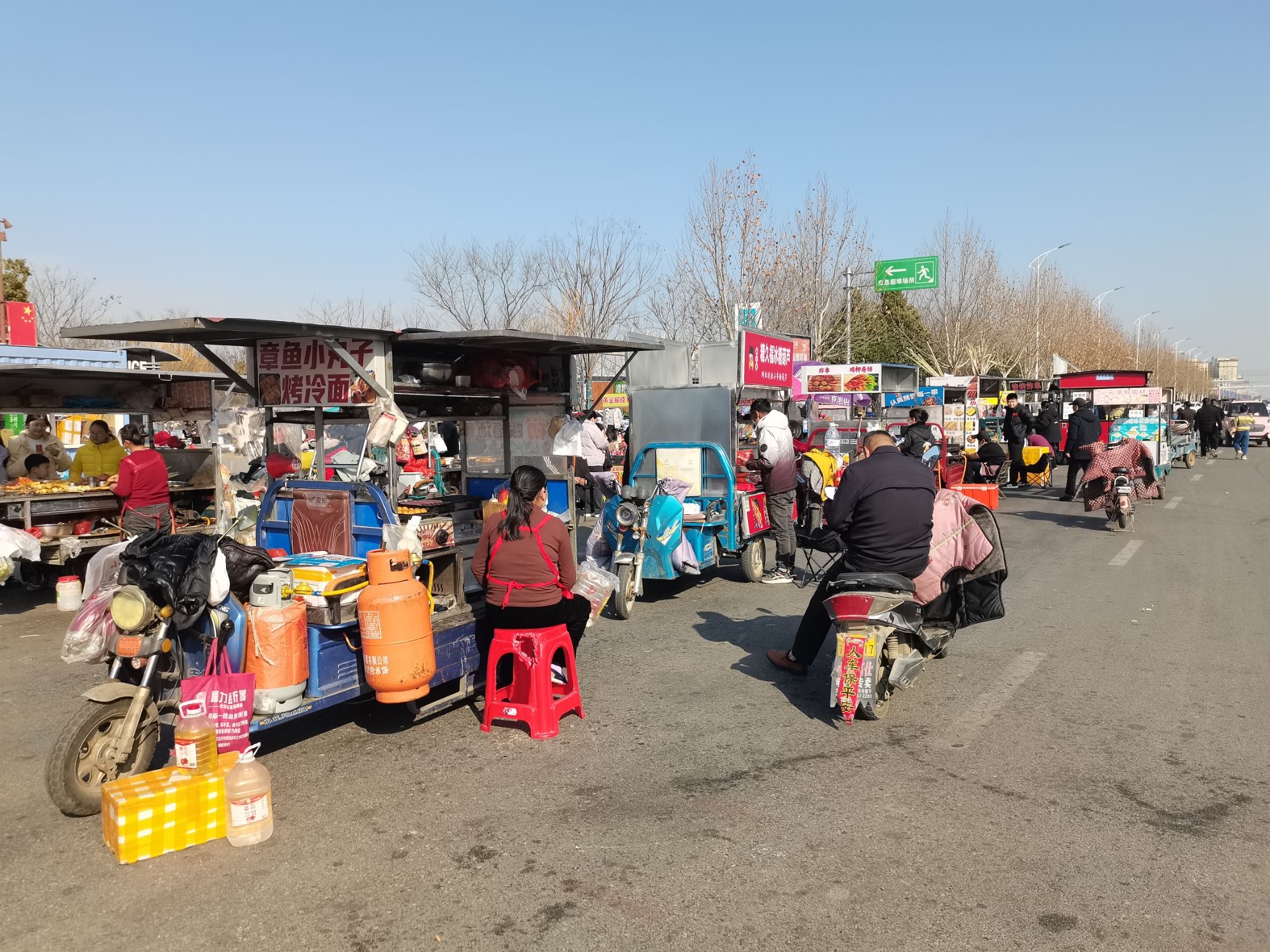正阳县植物园旅行图片 1
