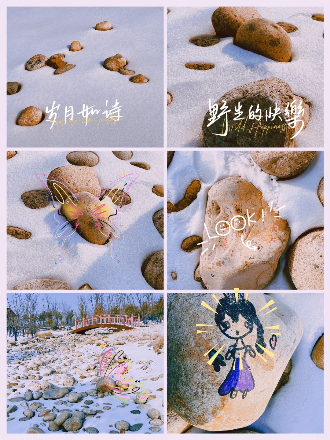 正阳县植物园旅行图片 3