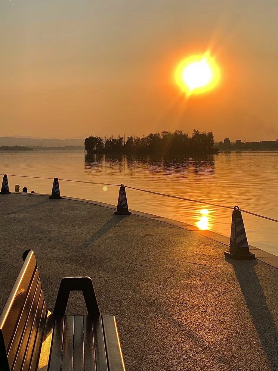 文昌湖绿苑花海旅行图片 3