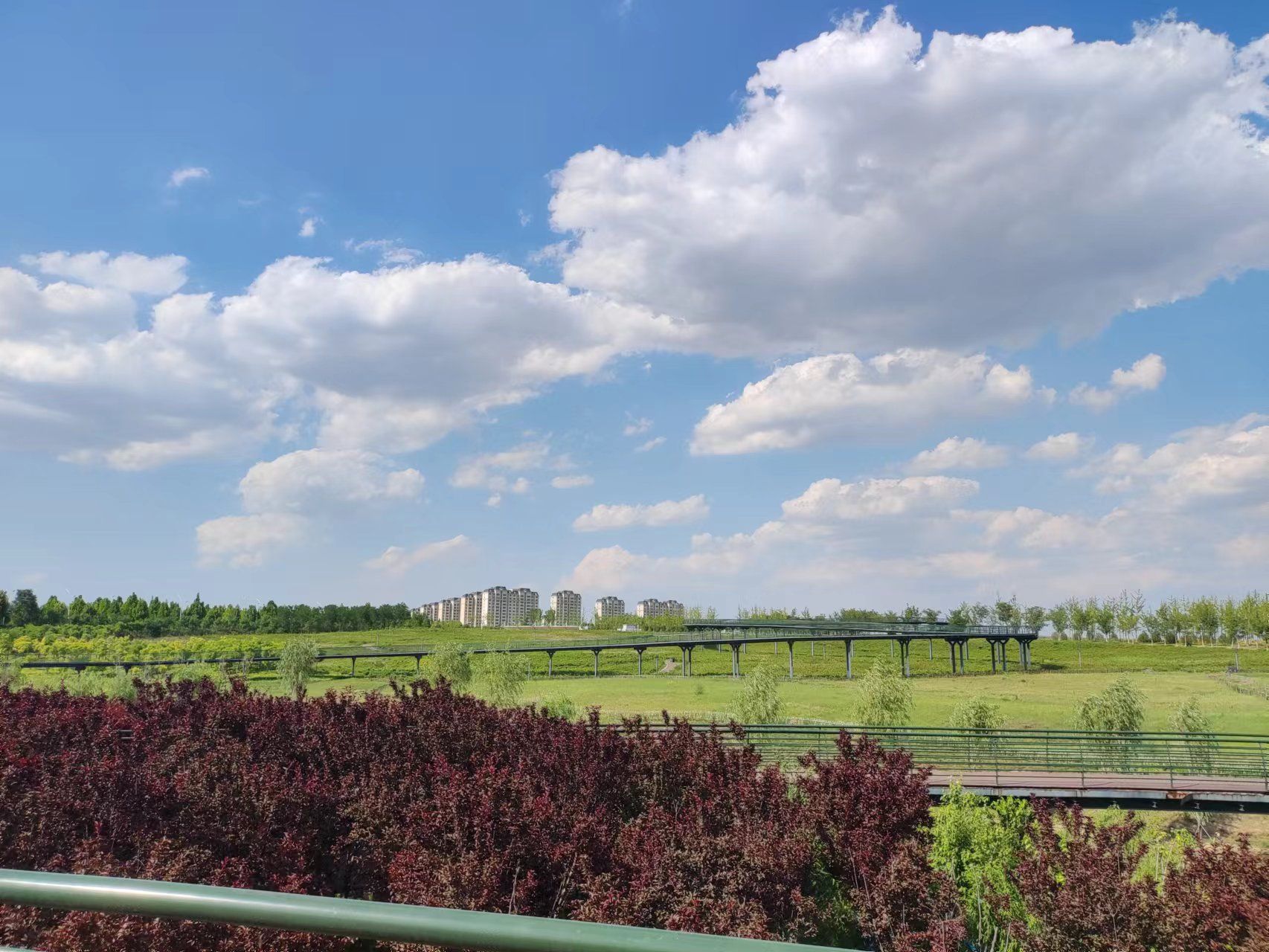 文昌湖绿苑花海旅行图片 1