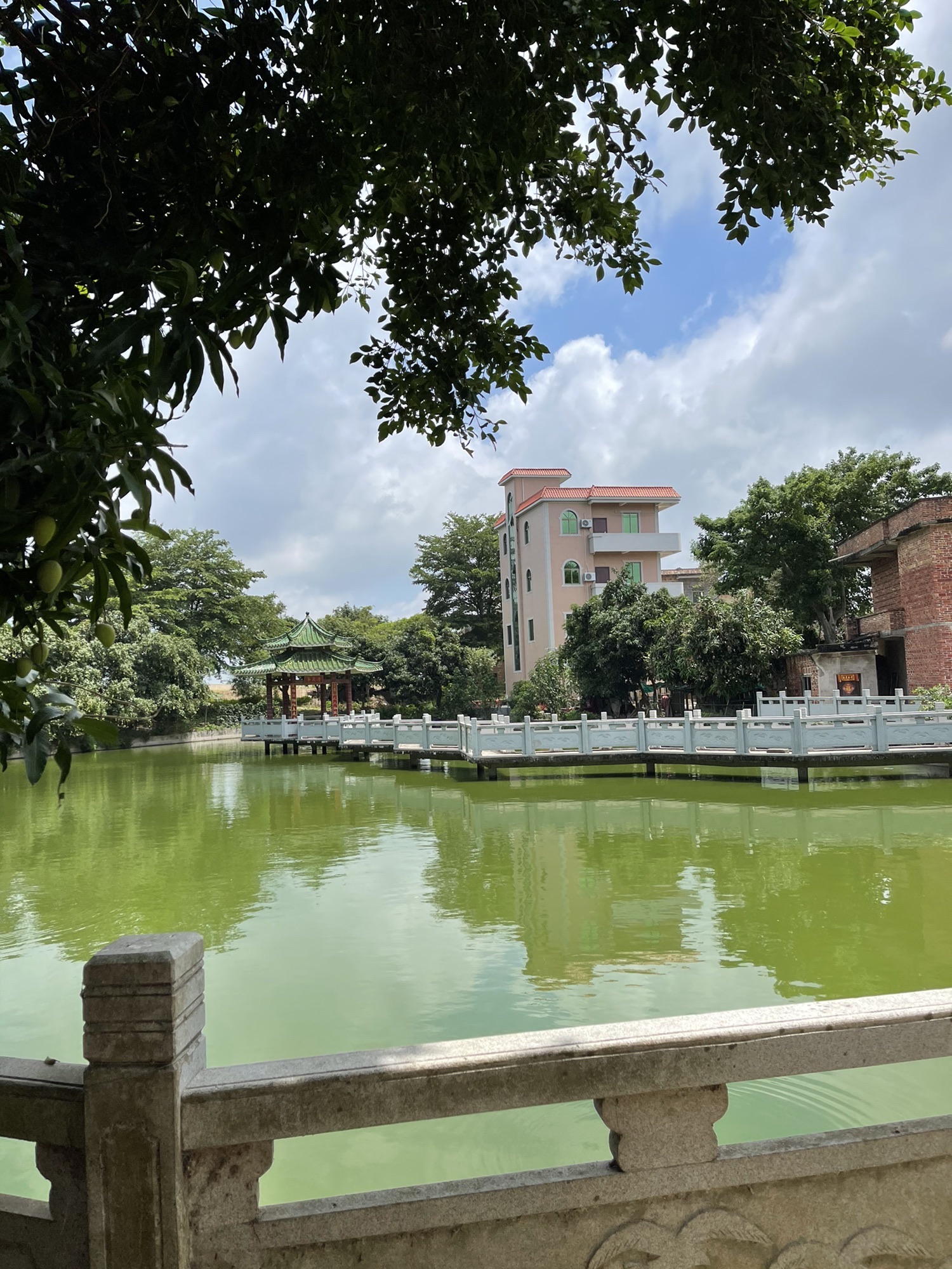 水洒村九曲桥景点旅行图片 3