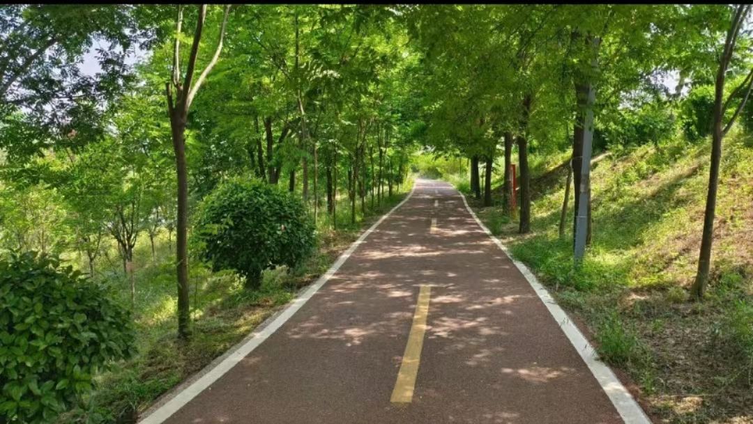 河南鹿邑涡河省级湿地公园旅行图片 3