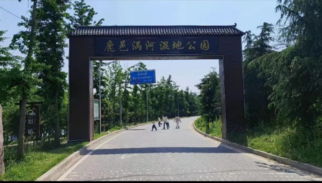 河南鹿邑涡河省级湿地公园旅行图片 1