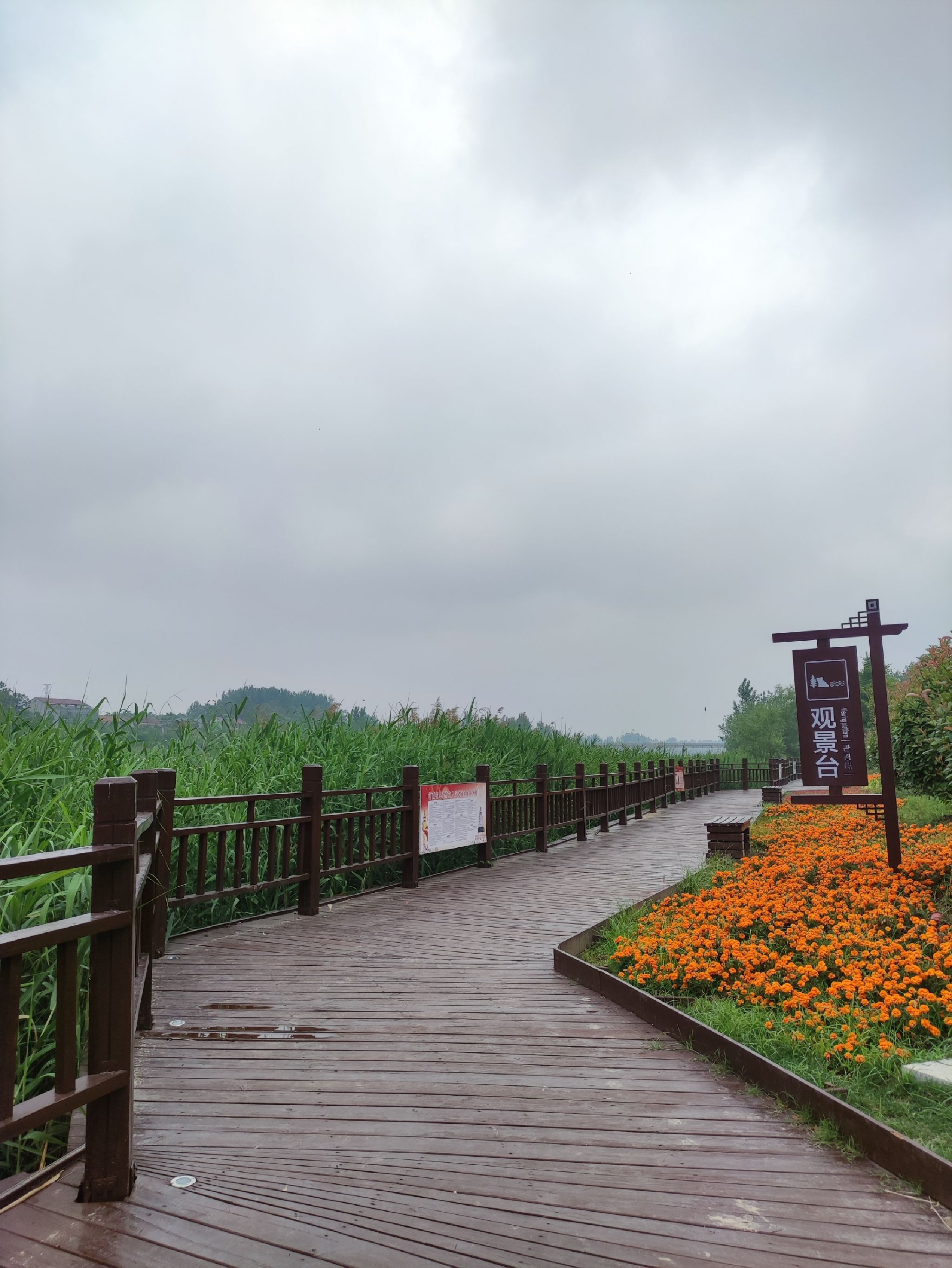 河南鹿邑涡河省级湿地公园旅行图片 2