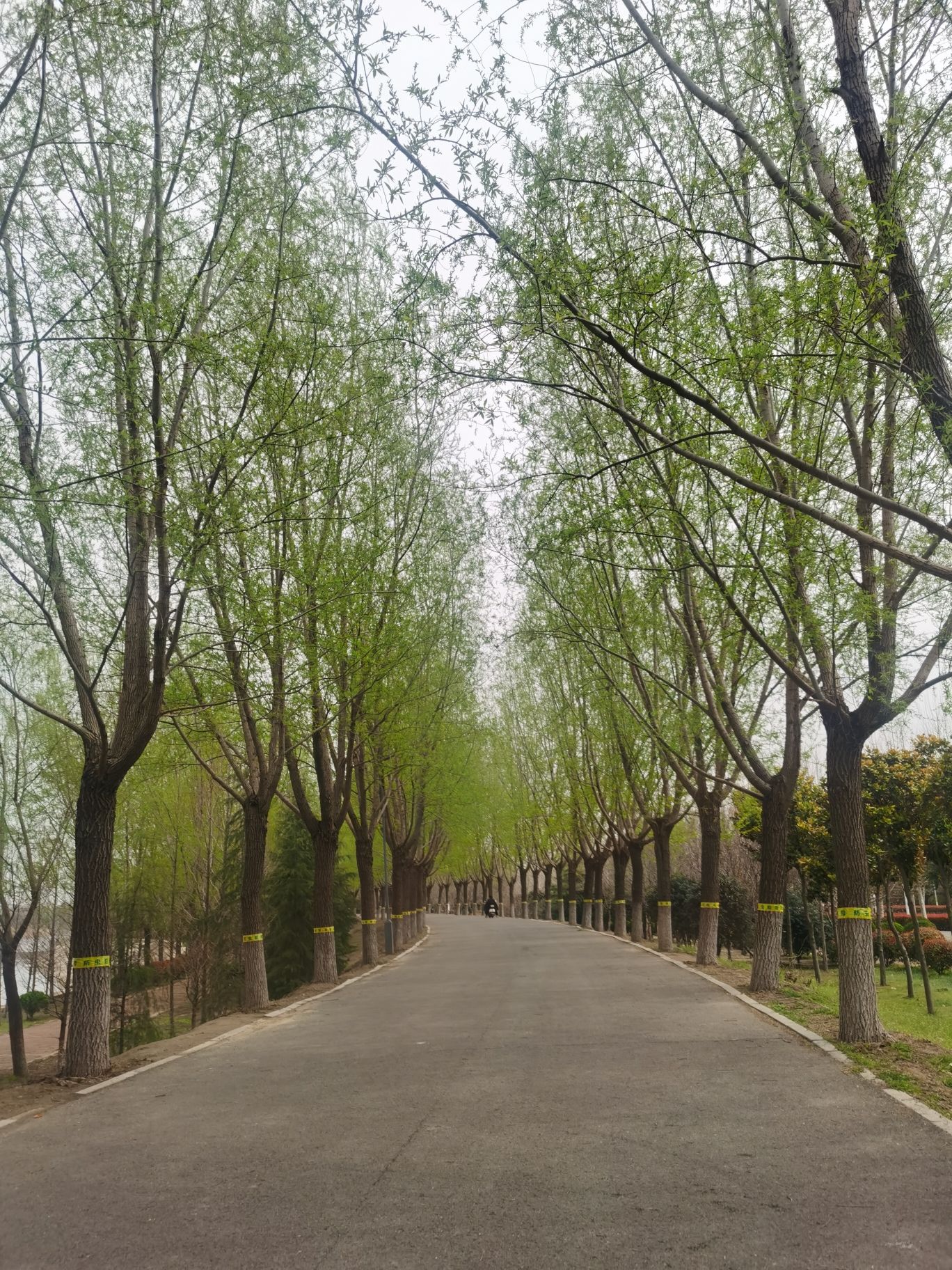 河南鹿邑涡河省级湿地公园旅行图片 2