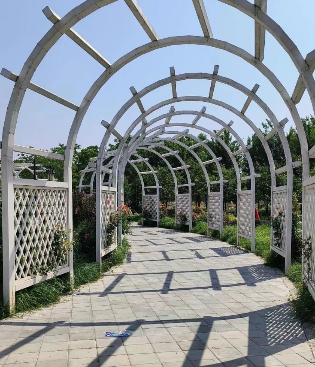 河南鹿邑涡河省级湿地公园旅行图片 2