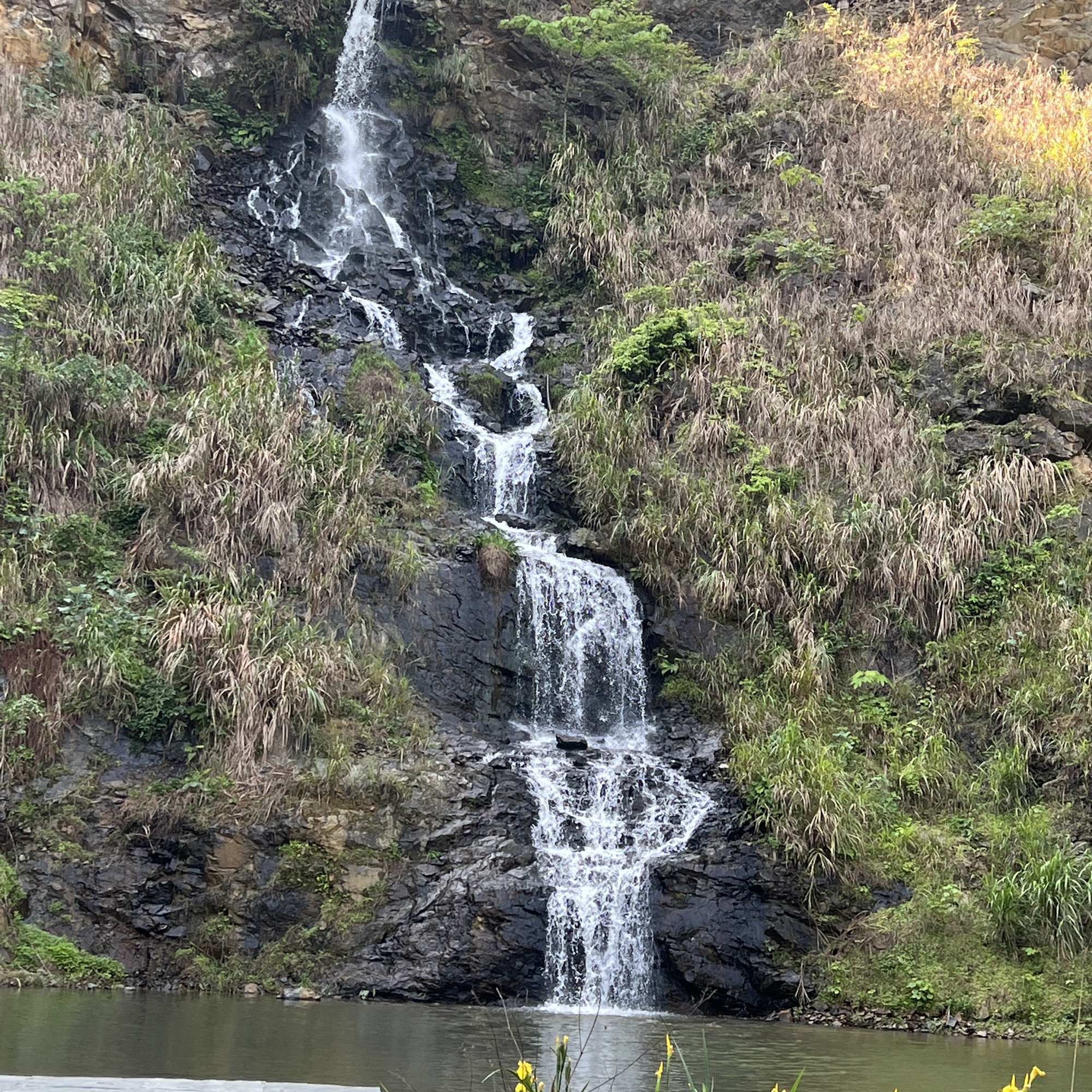 曲白院下村景区旅行图片 3