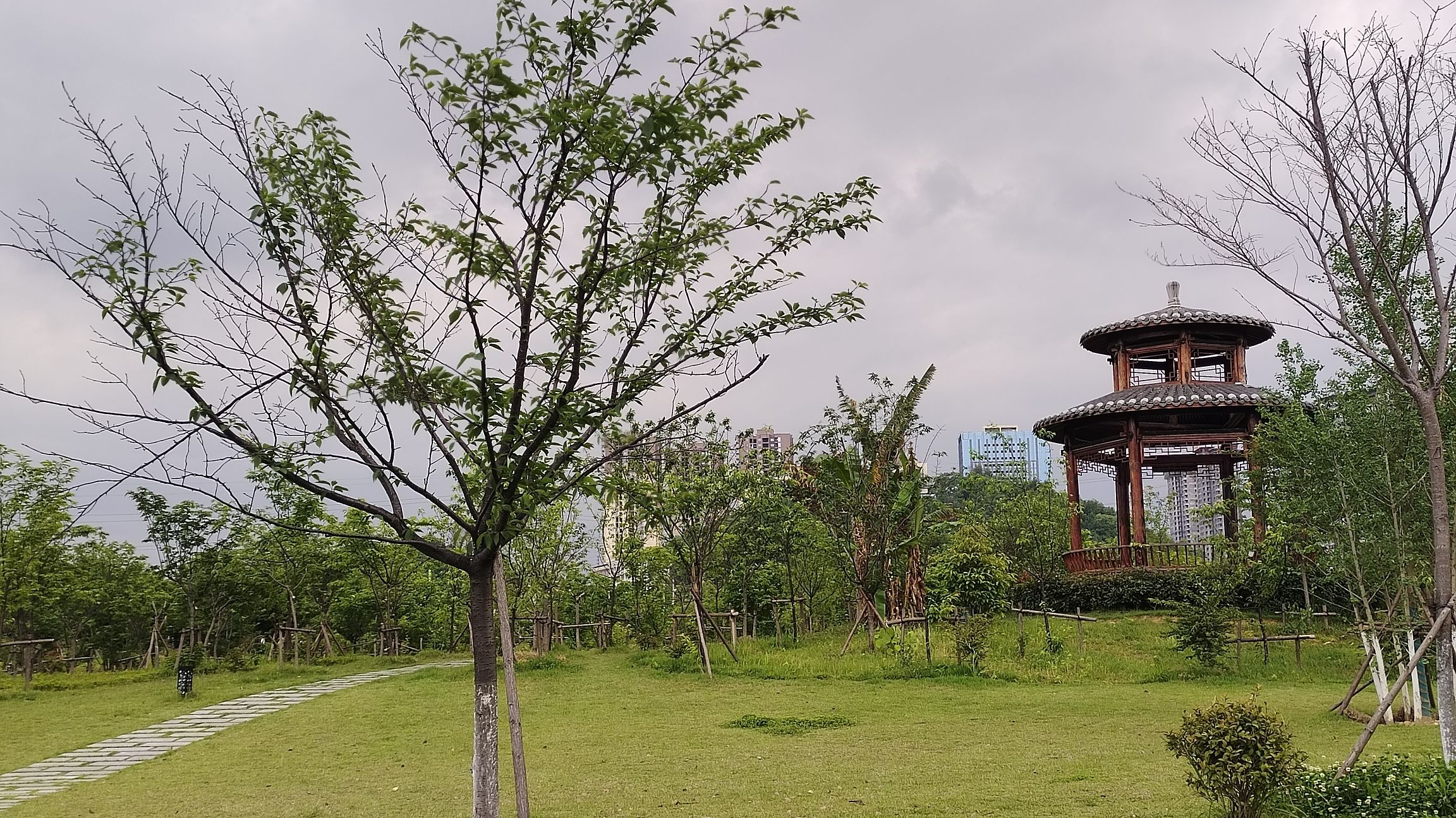 宋家洲公园旅行图片 2