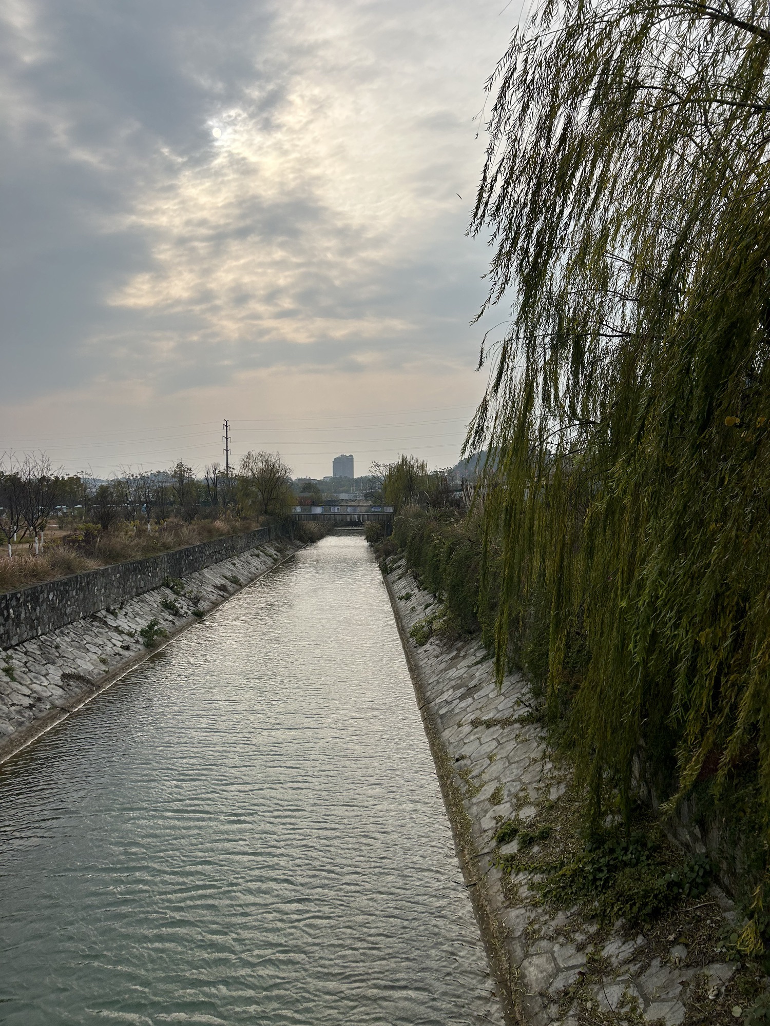宋家洲公园旅行图片 2