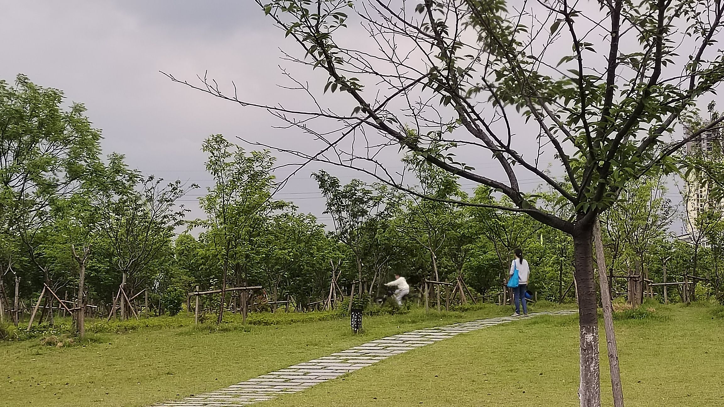 宋家洲公园旅行图片 3