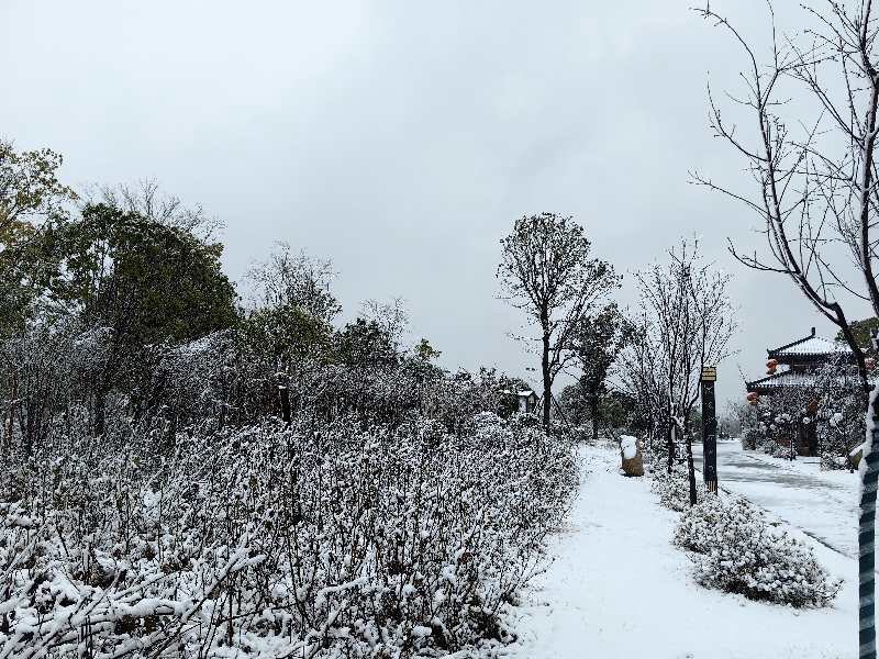 宋家洲公园旅行图片 3