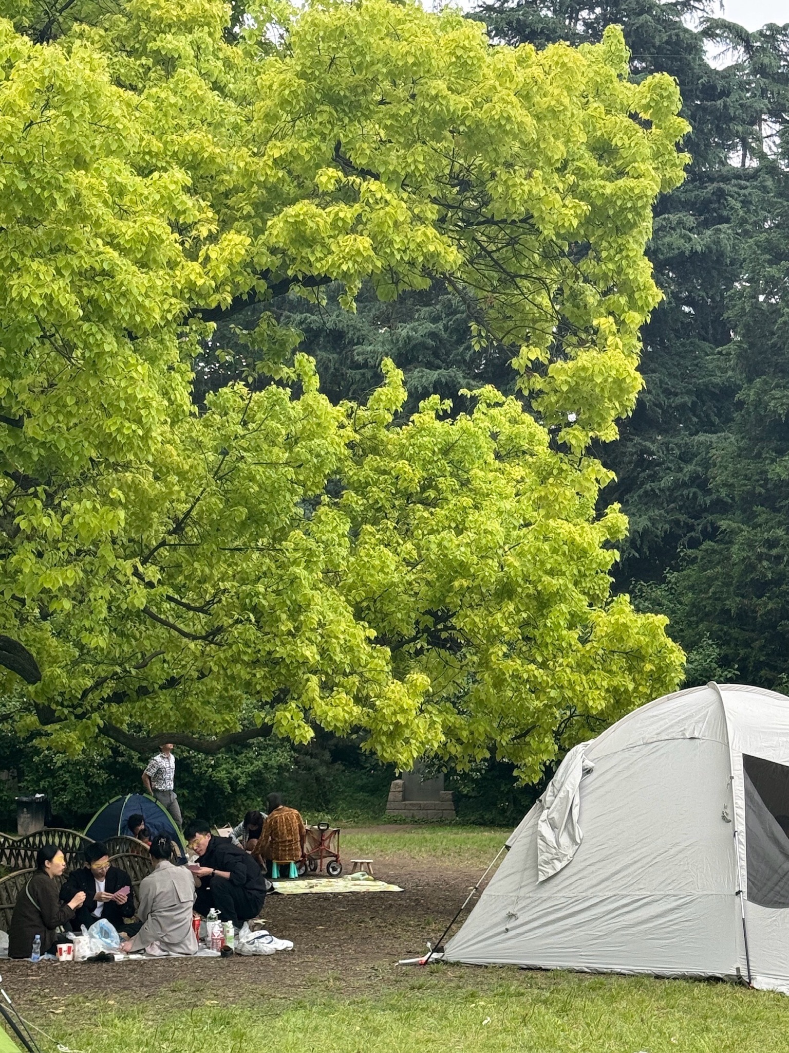两湖公园旅行图片 3