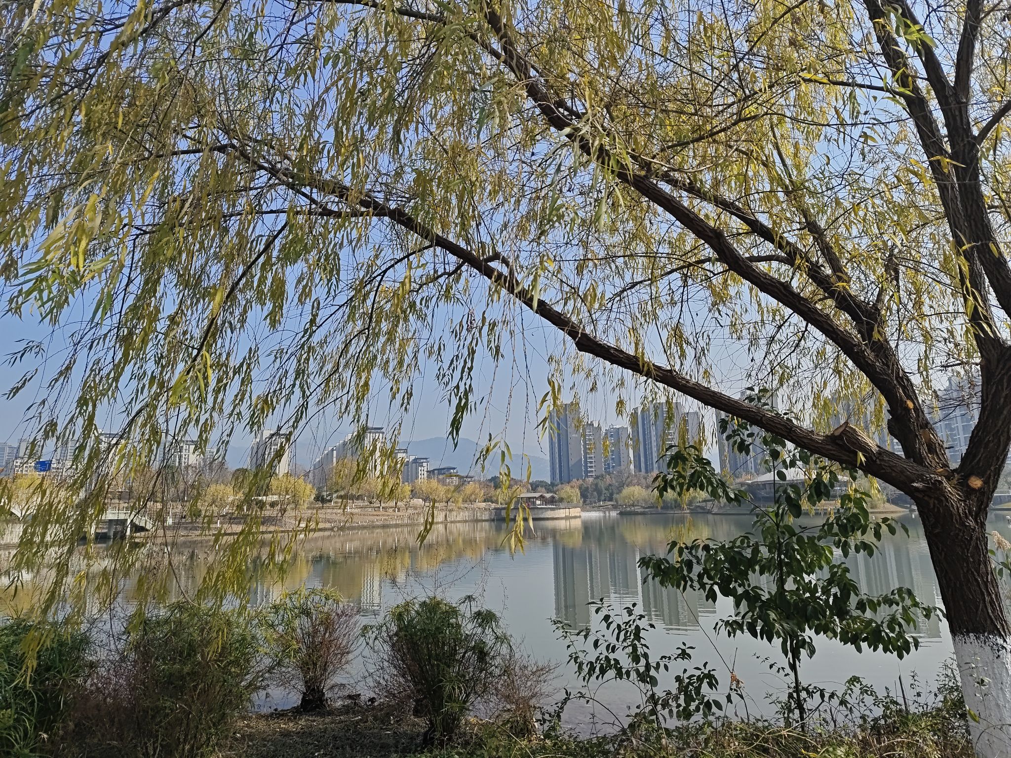 两湖公园旅行图片 3