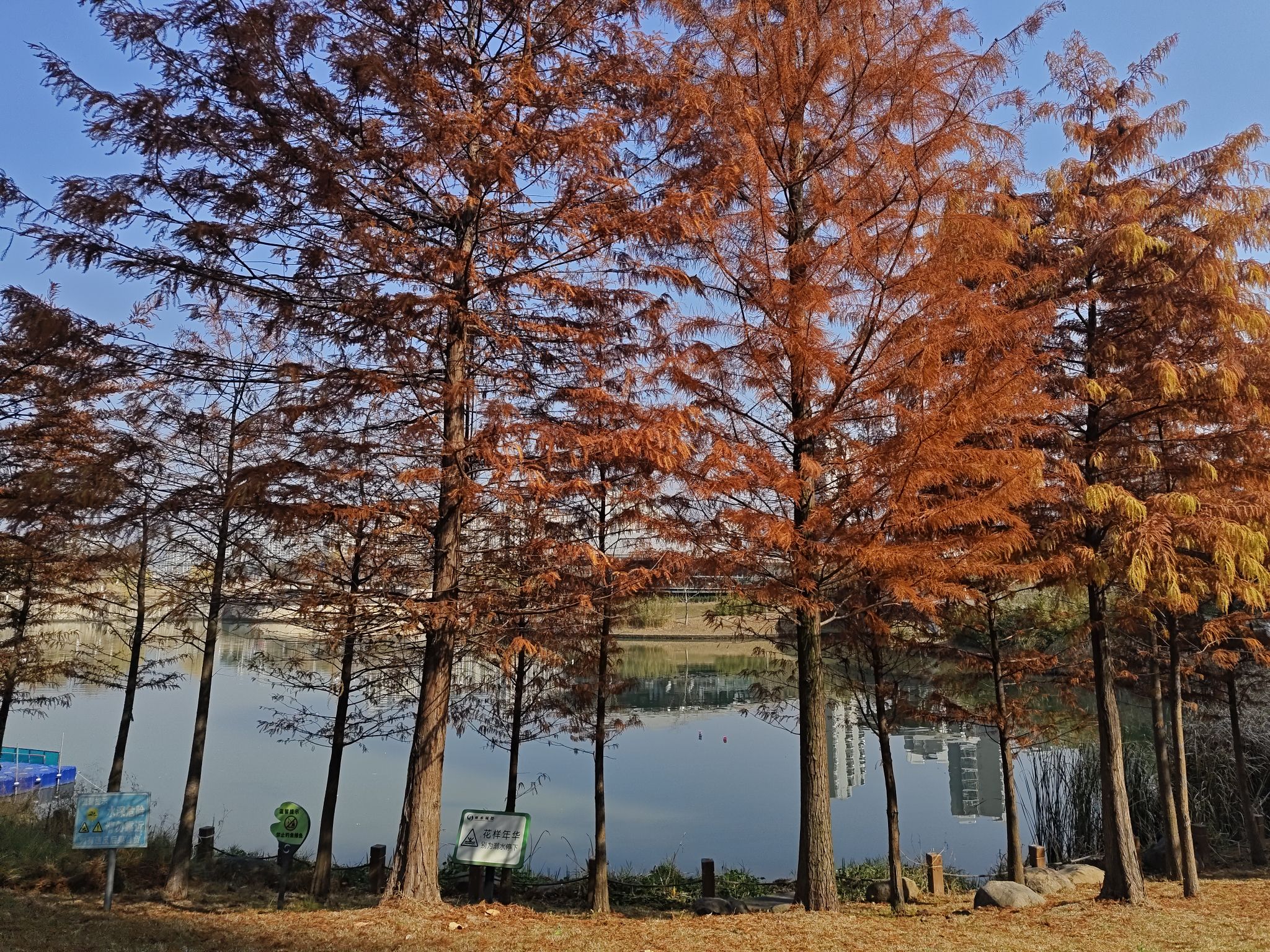 两湖公园旅行图片 2