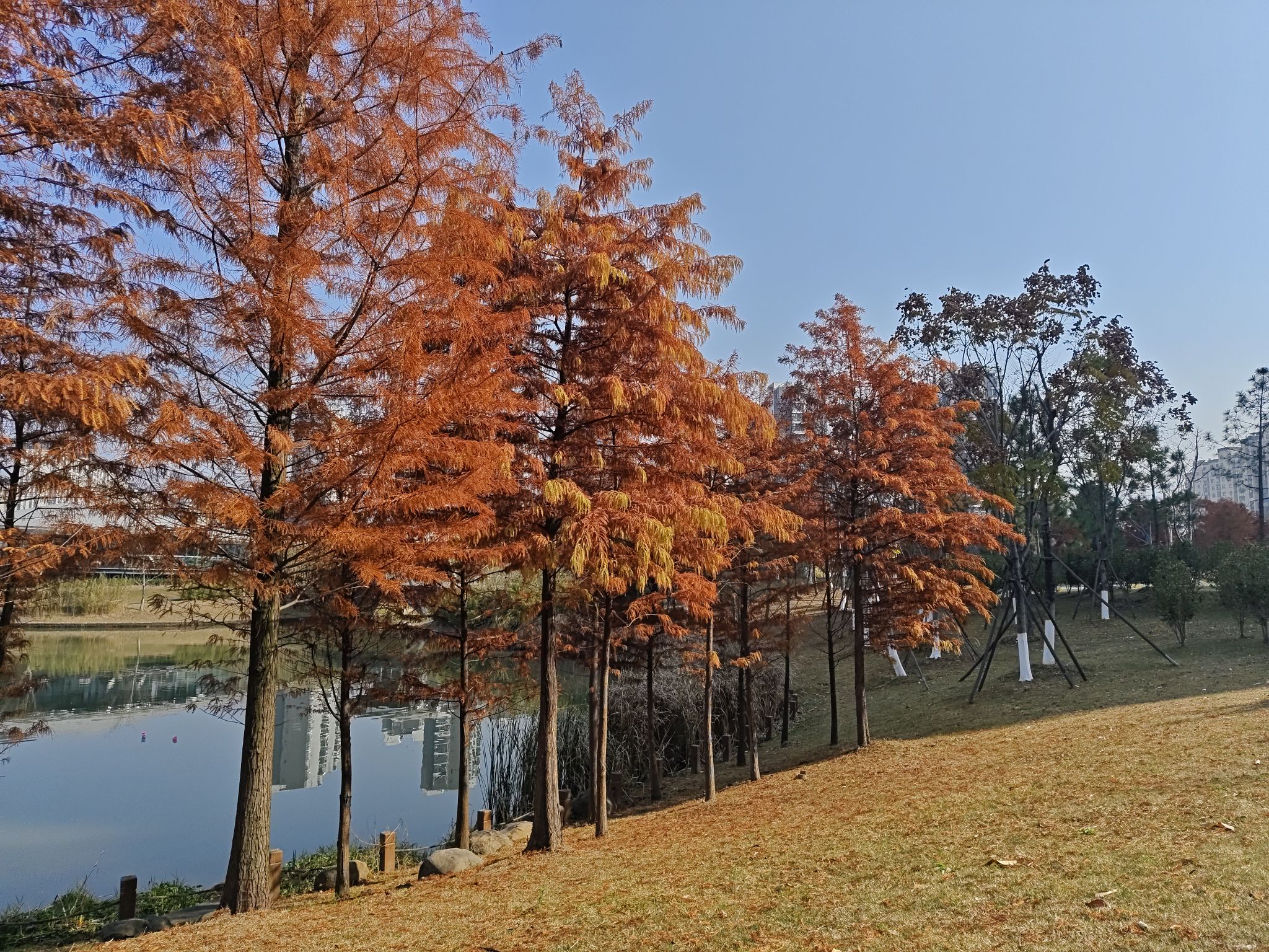 两湖公园旅行图片 1
