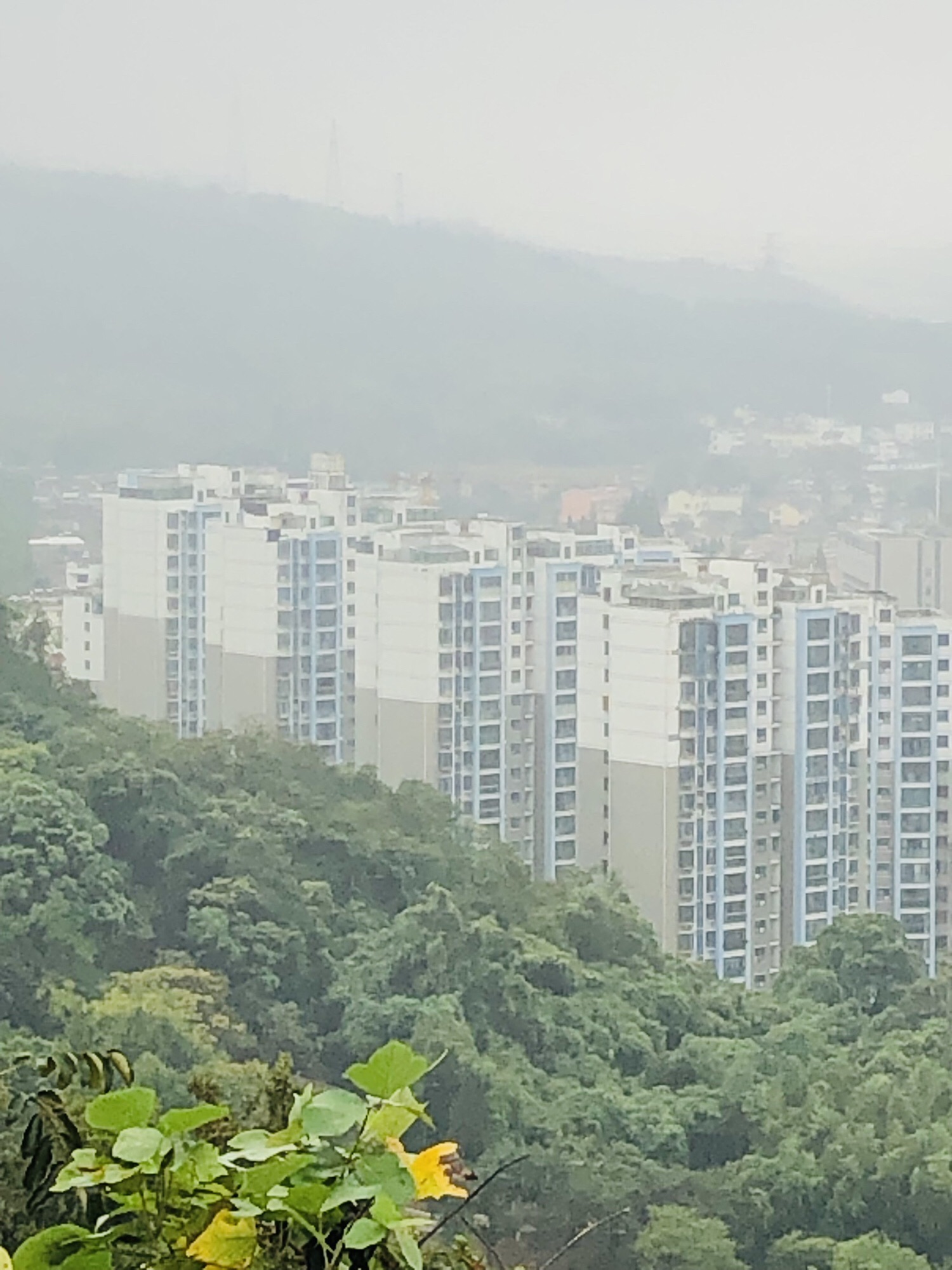 峨山公园旅行图片 1