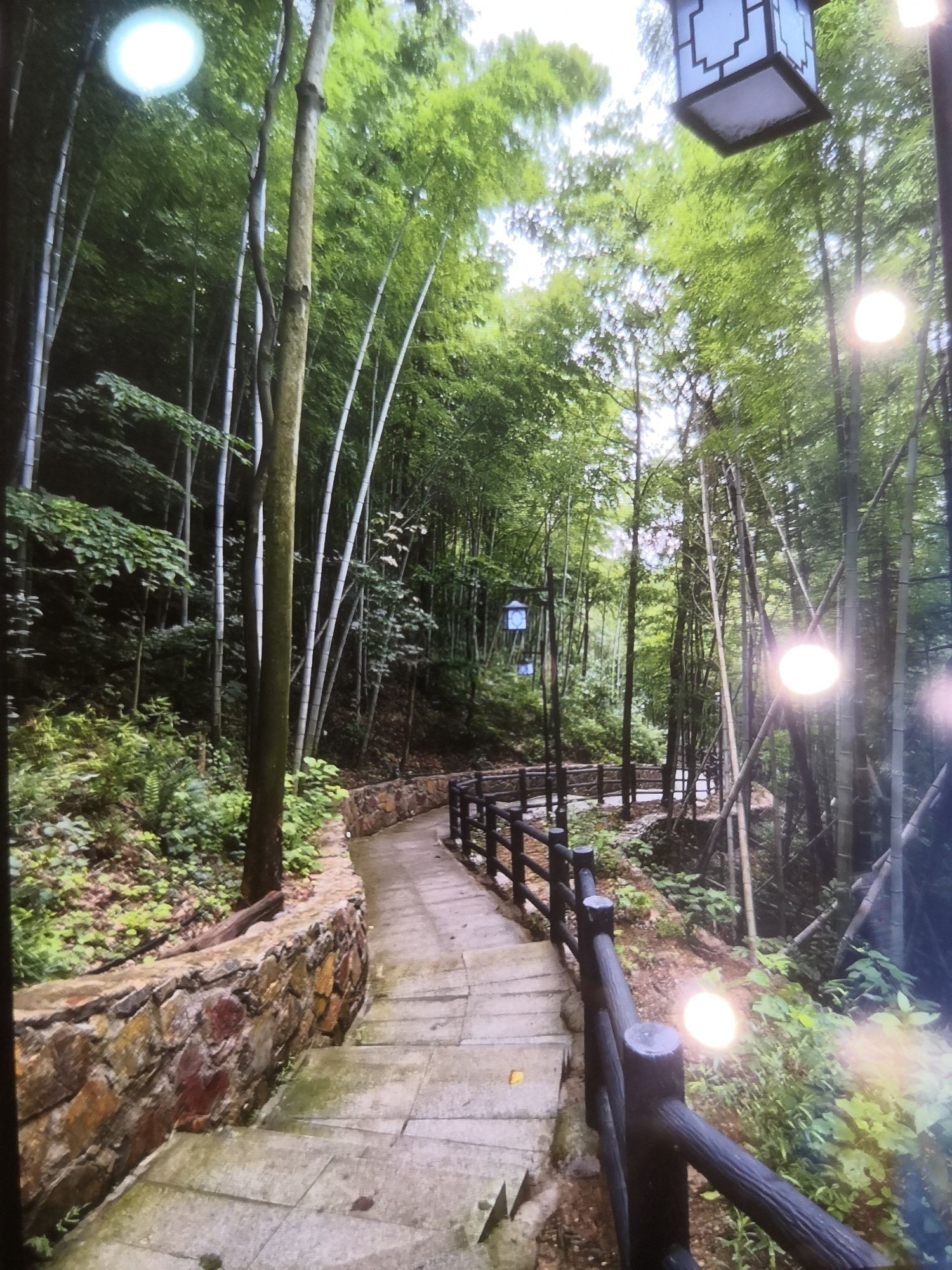 峨山公园旅行图片 2