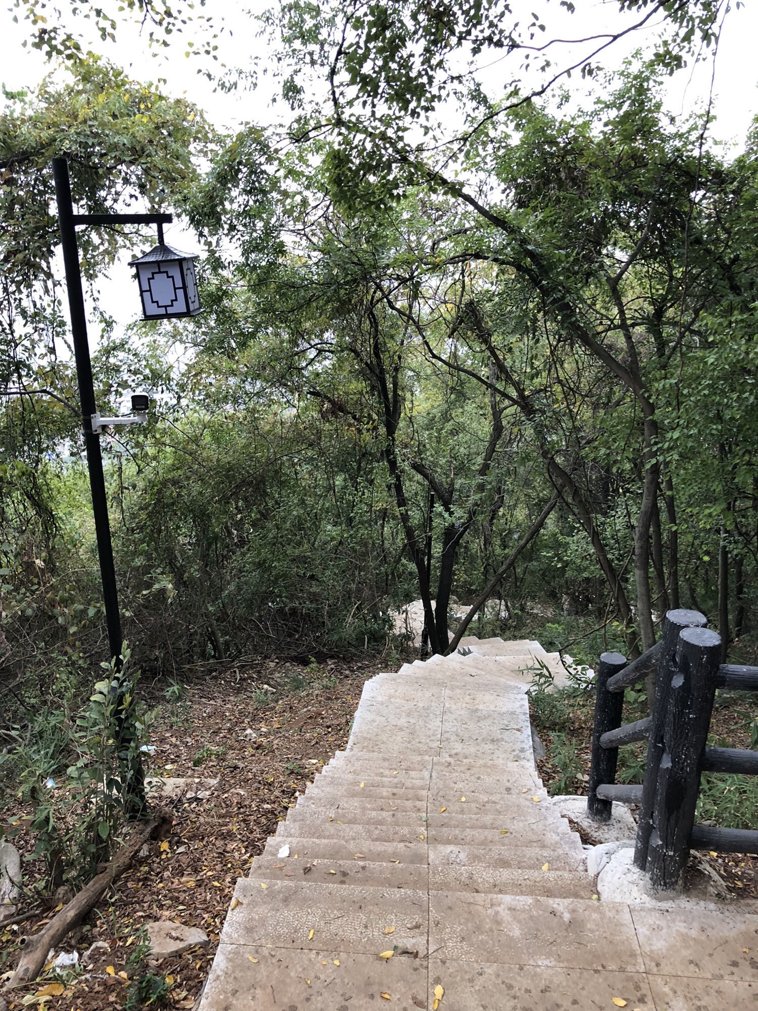 峨山公园旅行图片 3
