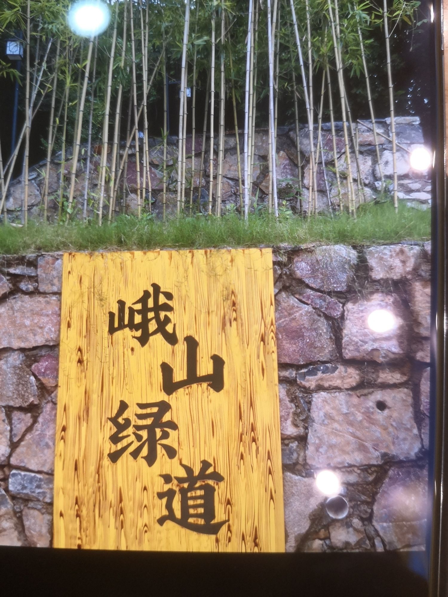 峨山公园旅行图片 1