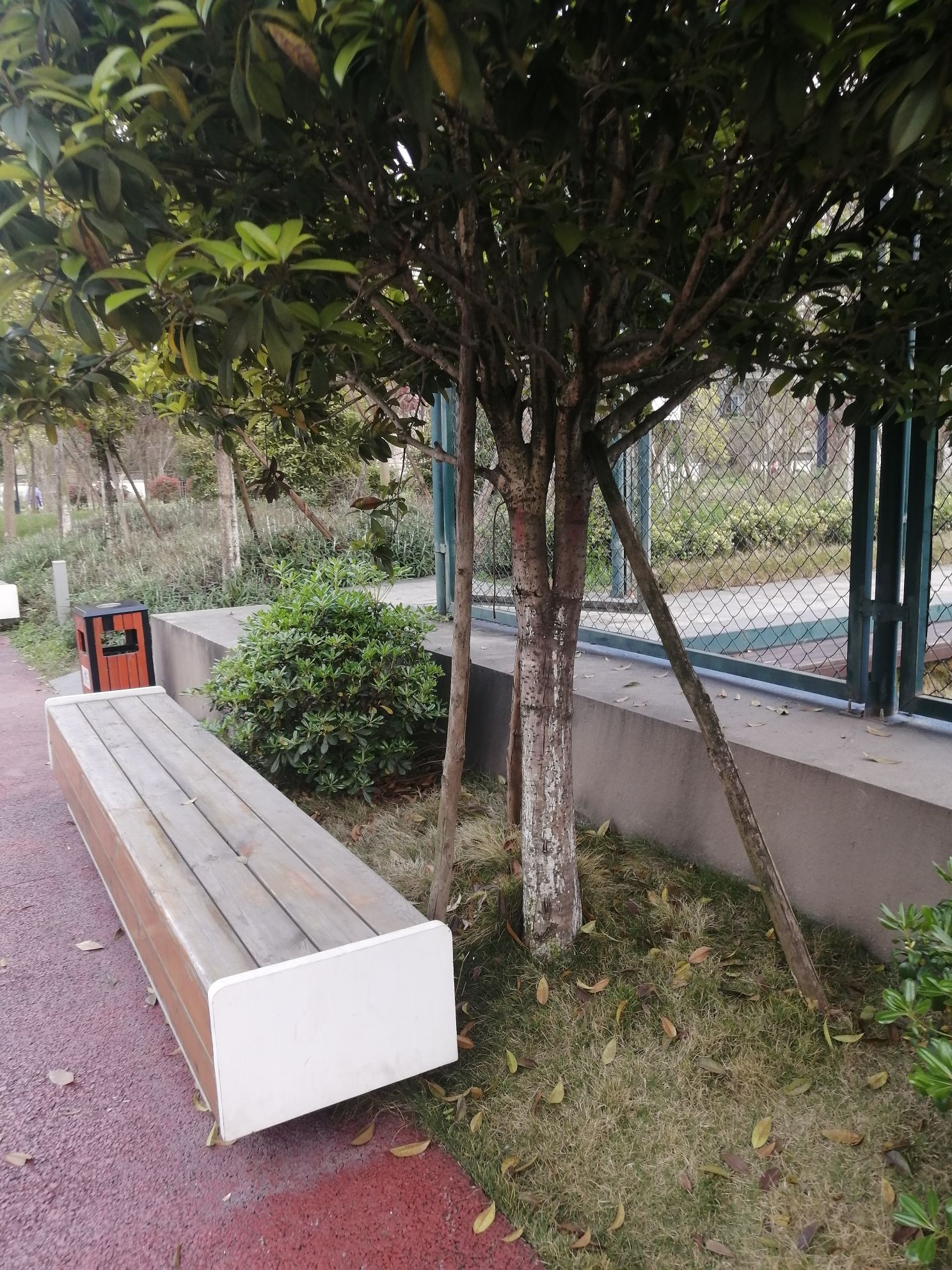 武侯生态体育公园旅行图片 3