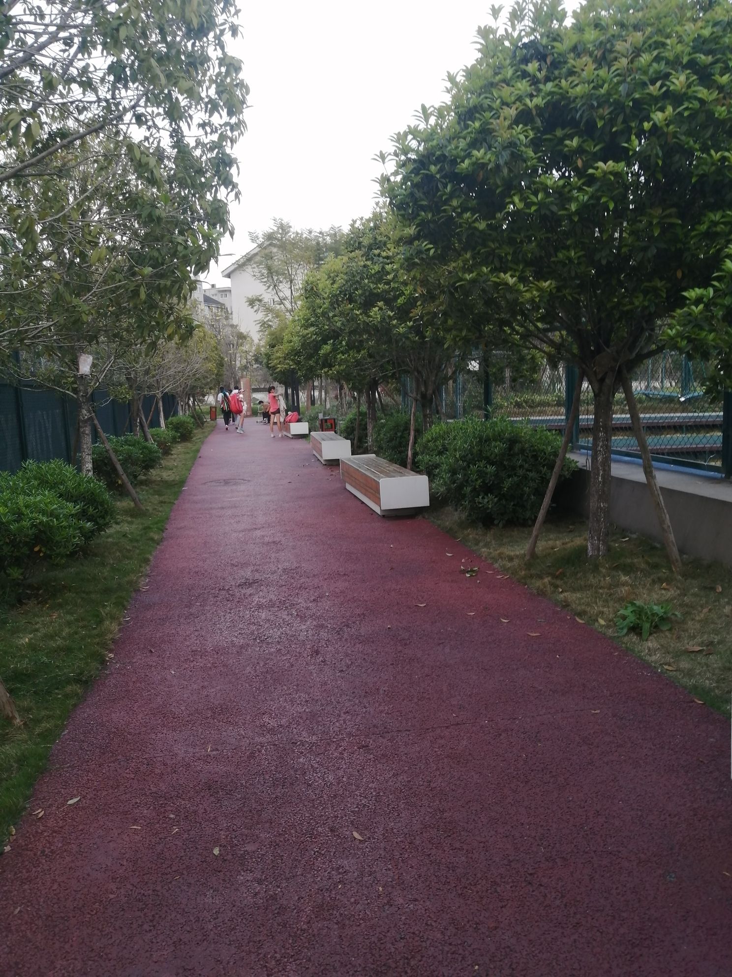 武侯生态体育公园旅行图片 2
