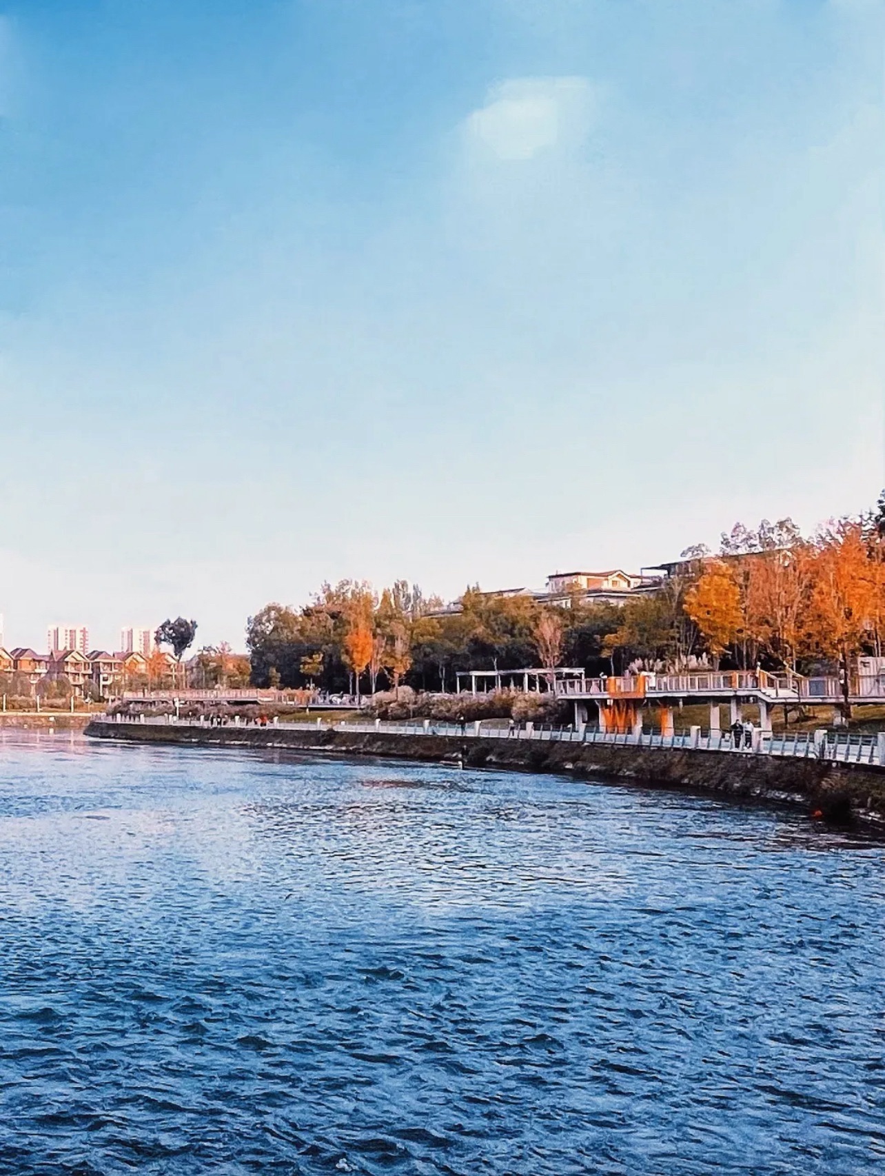 武侯生态体育公园旅行图片 1