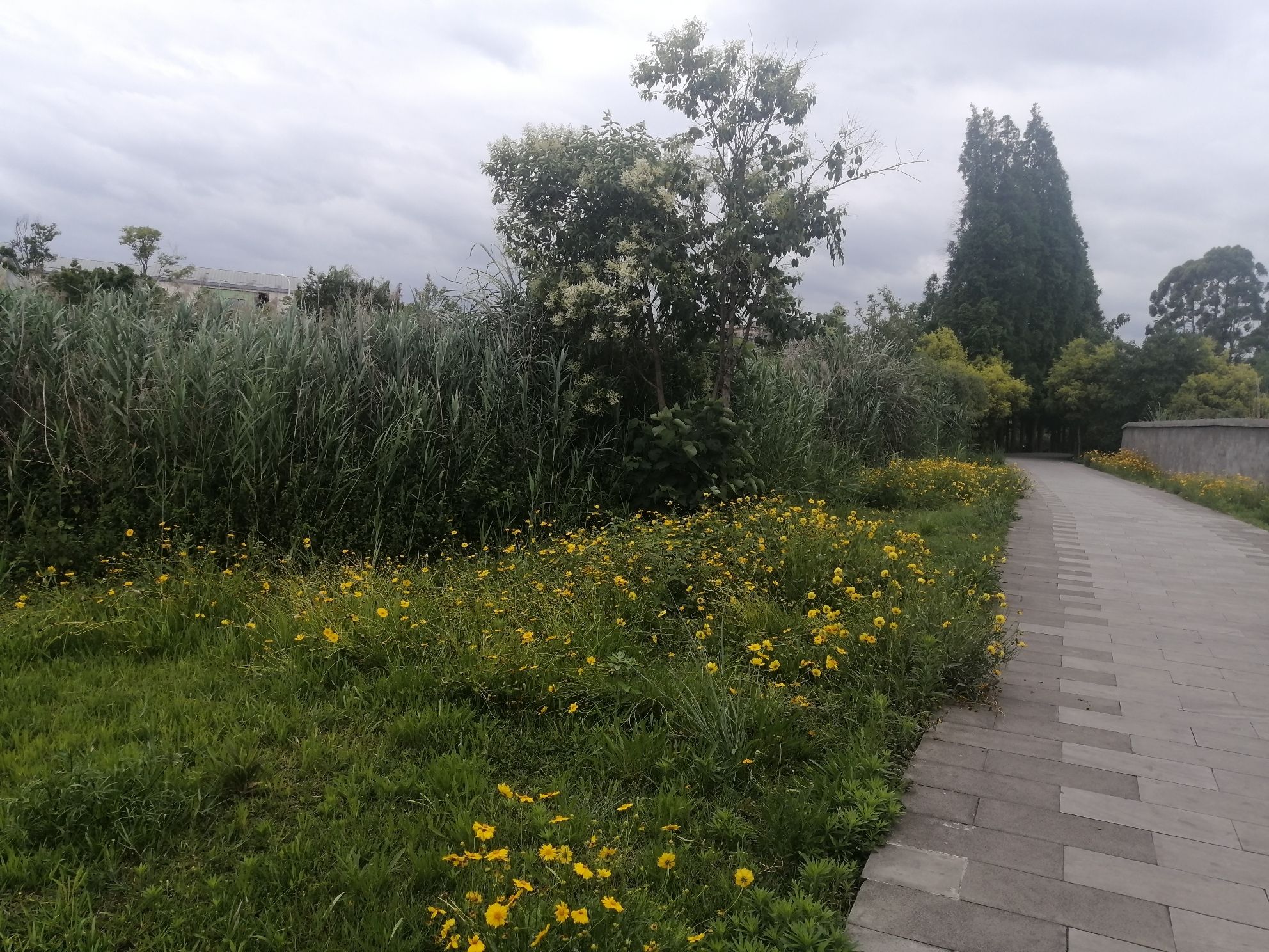 百溪堰湿地公园旅行图片 2
