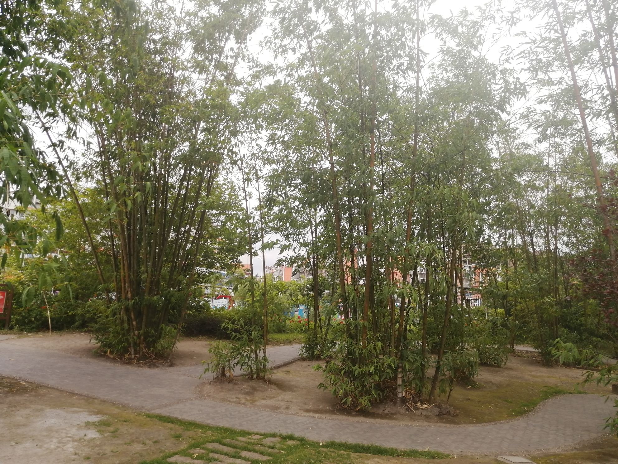 百溪堰湿地公园旅行图片 3