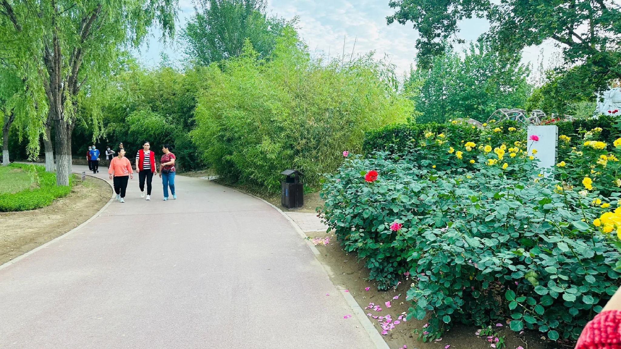月季公园旅行图片 1