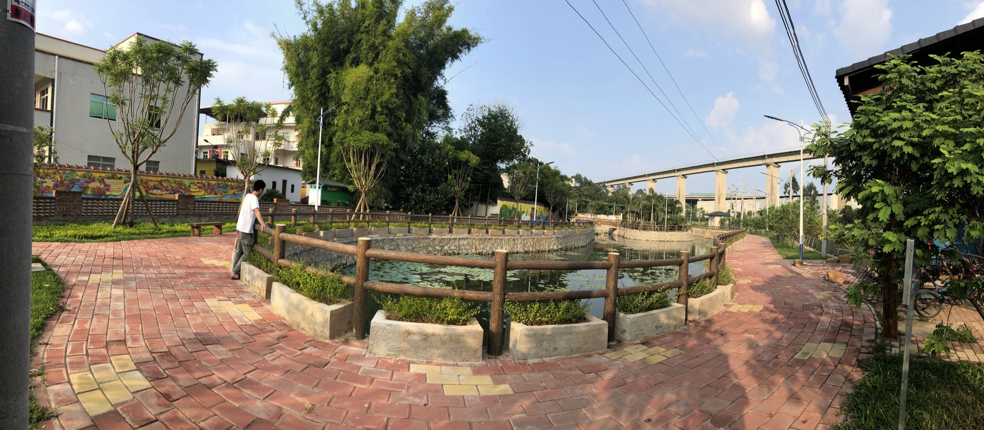 彭村湖公园旅行图片 3