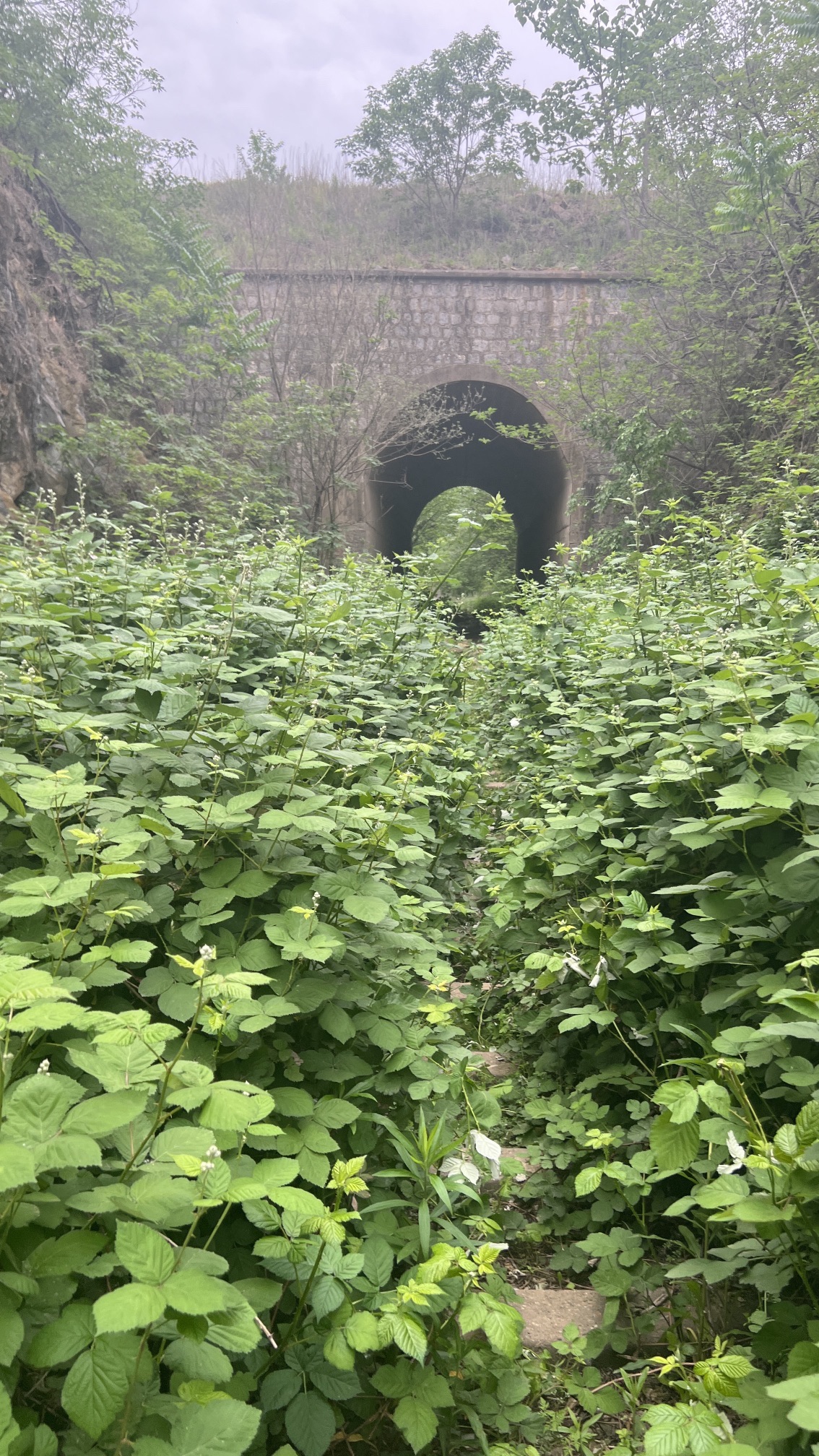 爱情隧道旅行图片 3