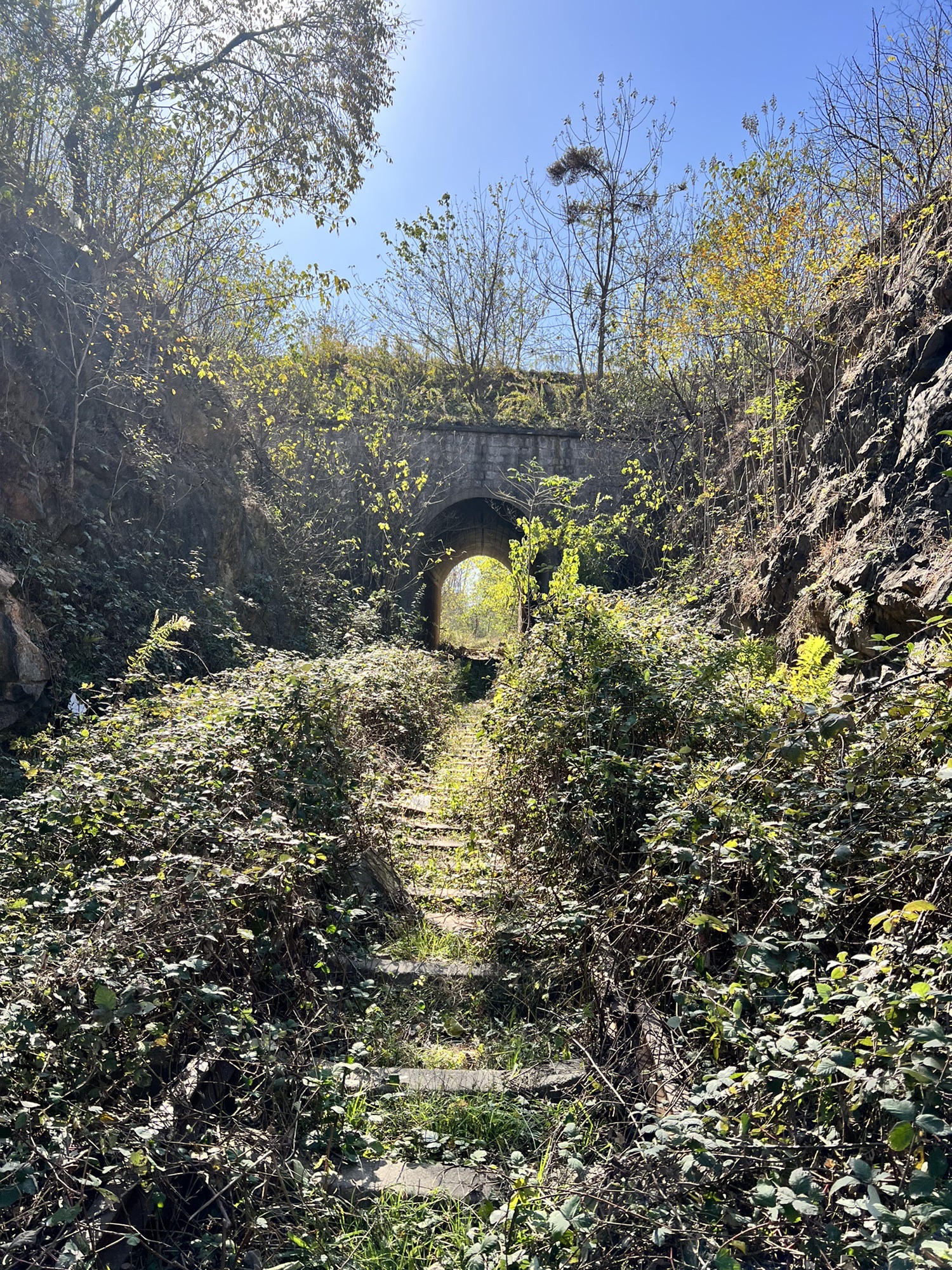 爱情隧道旅行图片 1