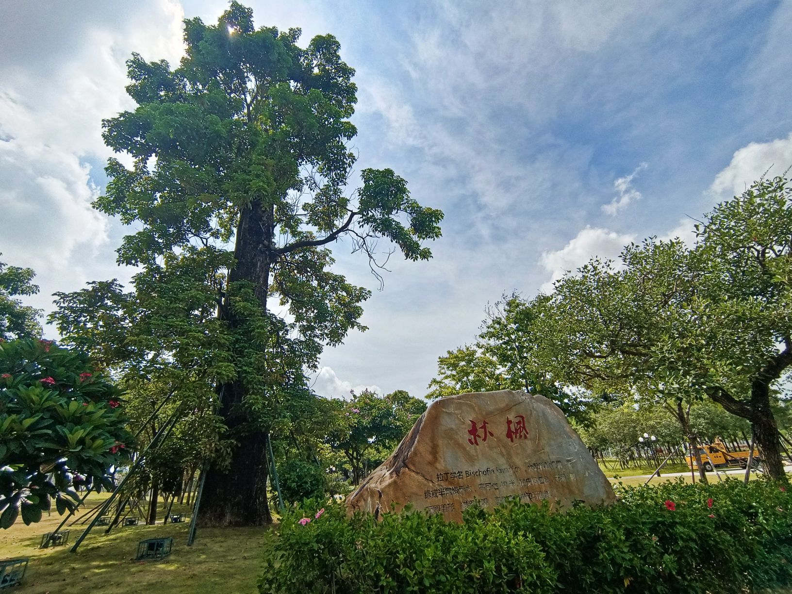 星河公园旅行图片 2